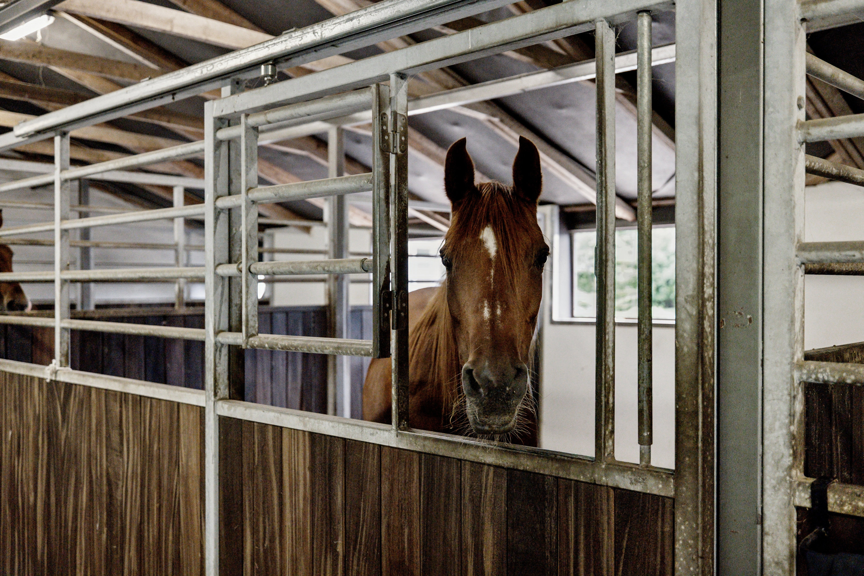 Fremhævet stald billede i fuldskærmstilstand. Billede af Liseborgvej 45, 8800 Viborg