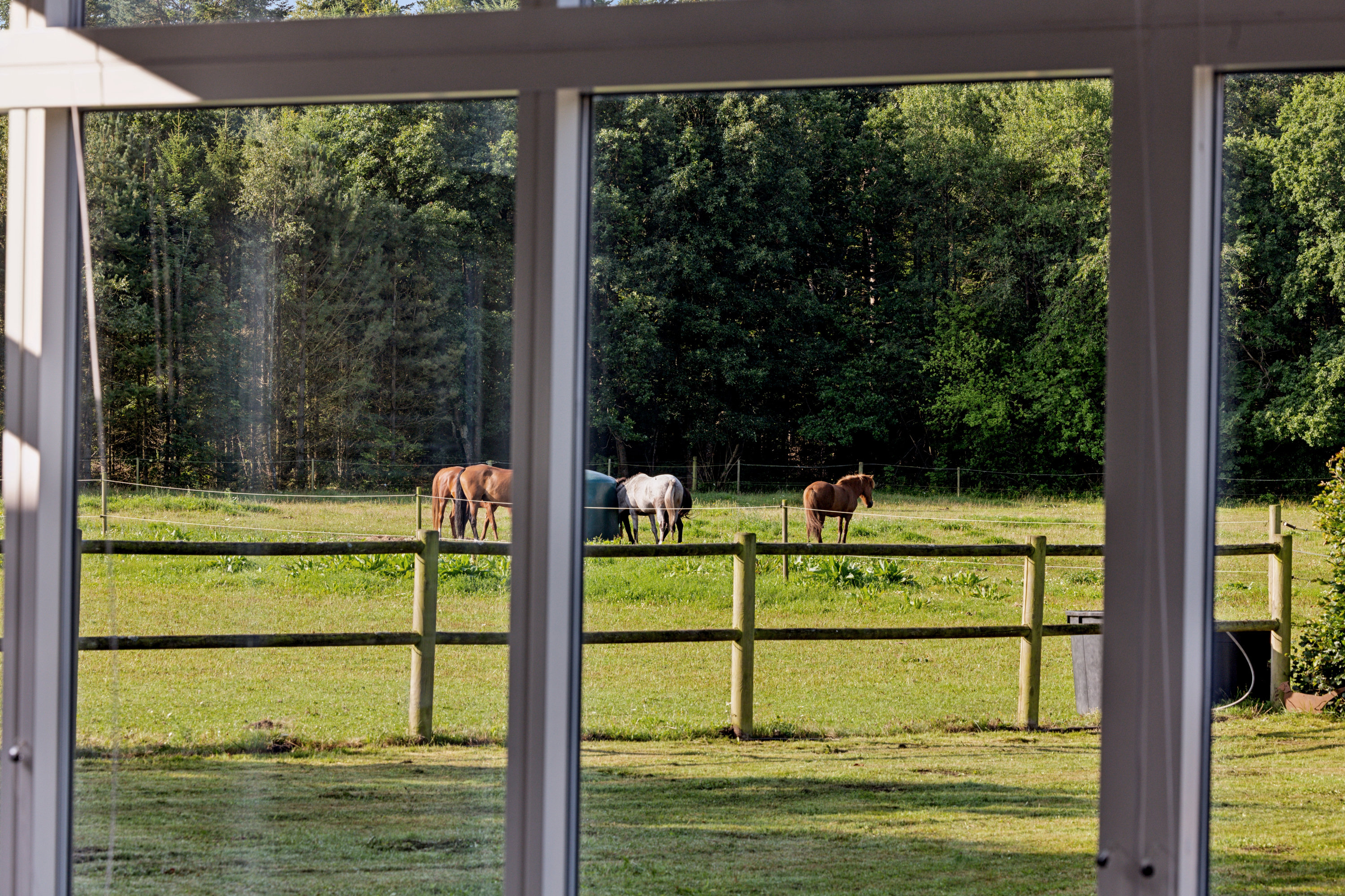 Fremhævet udsigt billede i fuldskærmstilstand. Billede af Liseborgvej 45, 8800 Viborg