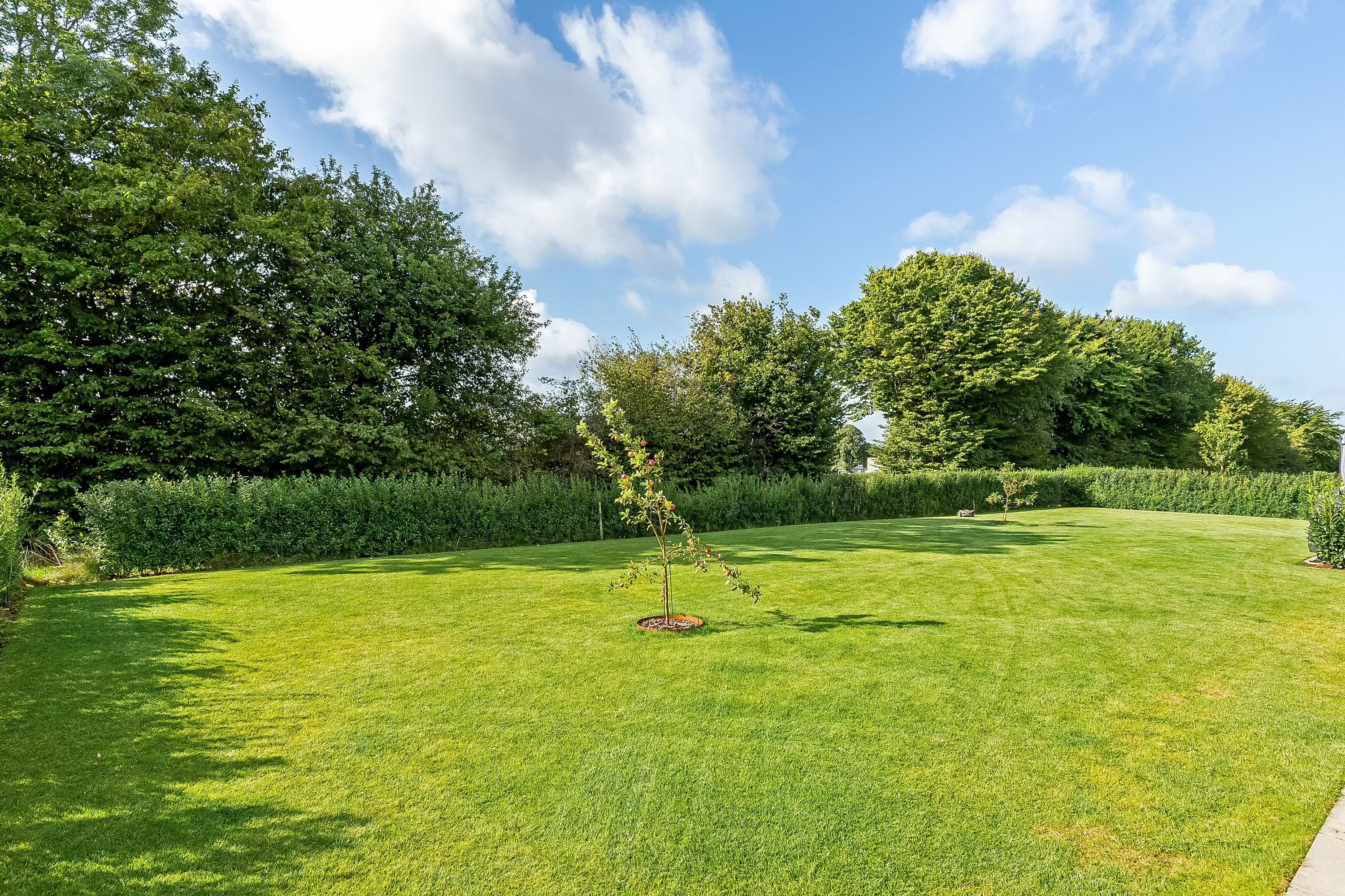 Fremhævet have billede i fuldskærmstilstand. Billede af Hørvænget 13, Vonsild, 6000 Kolding