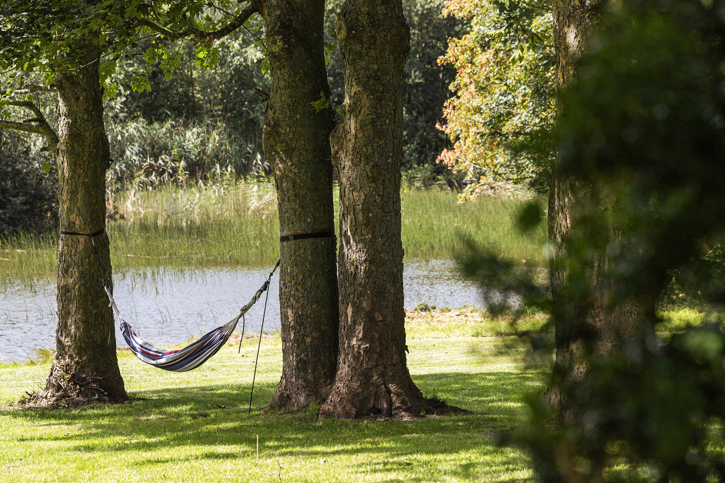 Fremhævet område billede i fuldskærmstilstand. Billede af Gestenvej 31, 6600 Vejen