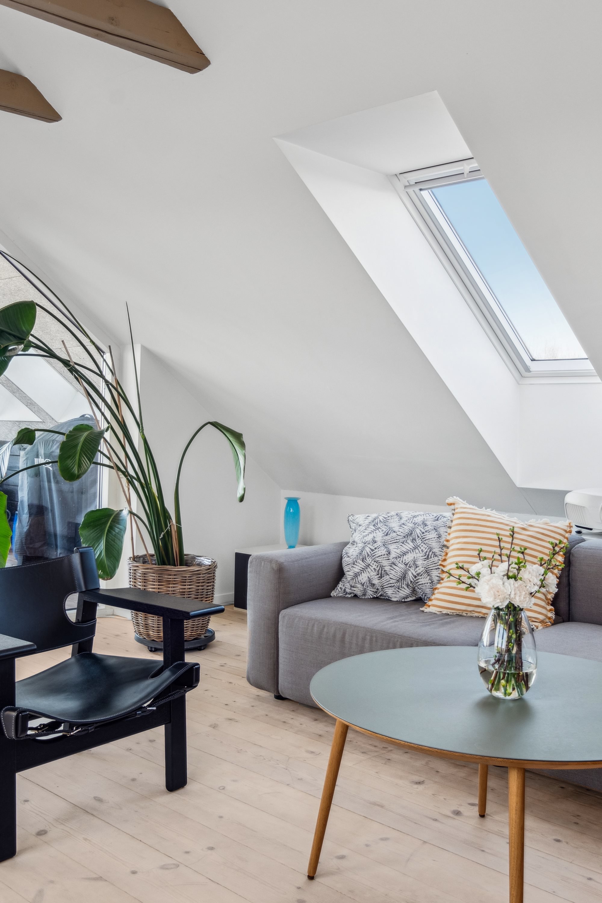 Fremhævet stue billede i fuldskærmstilstand. Billede af Schleppegrellsgade 80, 4. tv., 9000 Aalborg