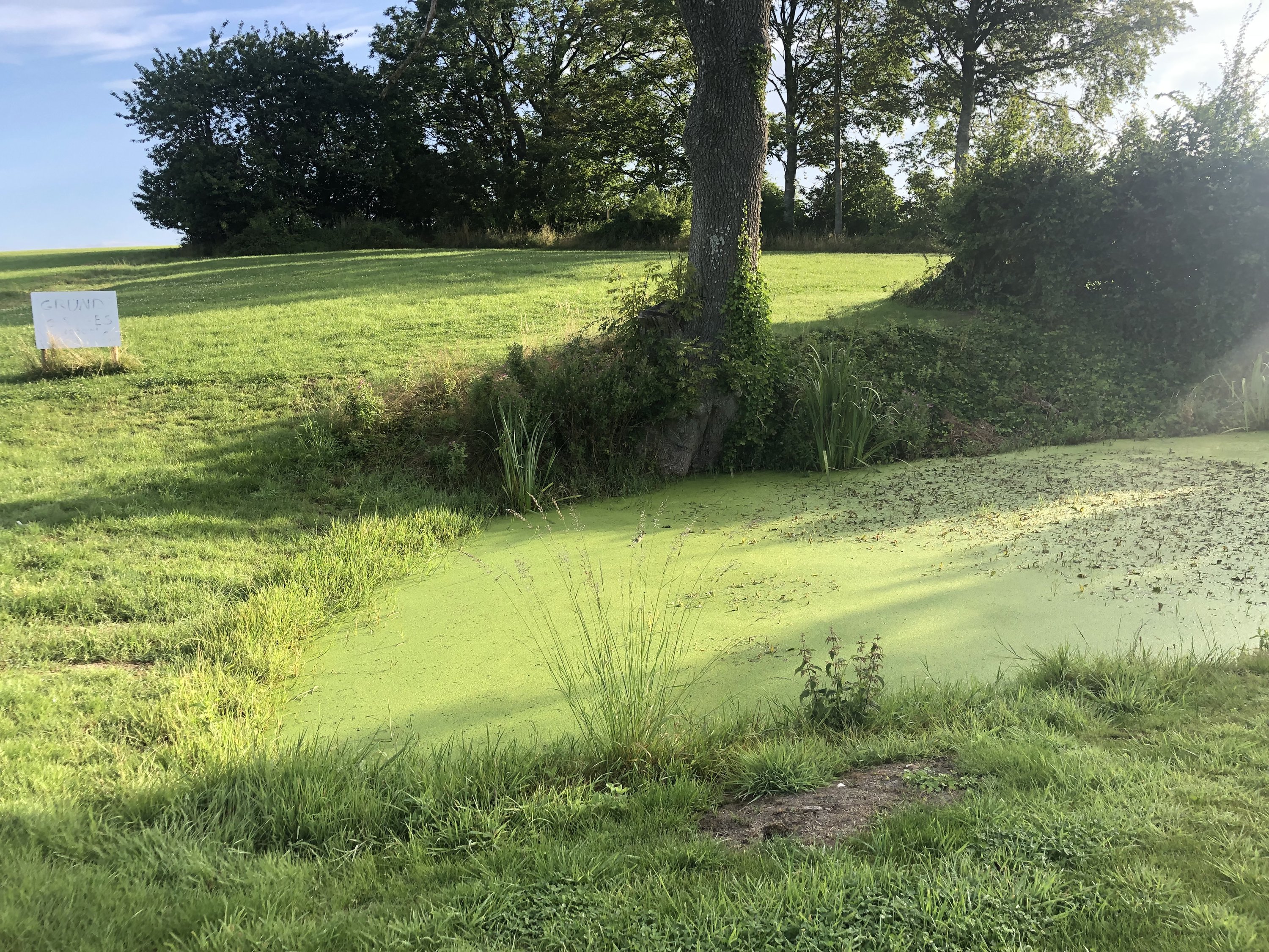 Miniaturebillede 2: . Billede af Favrgaardsvej 195, Morsholt, 8300 Odder