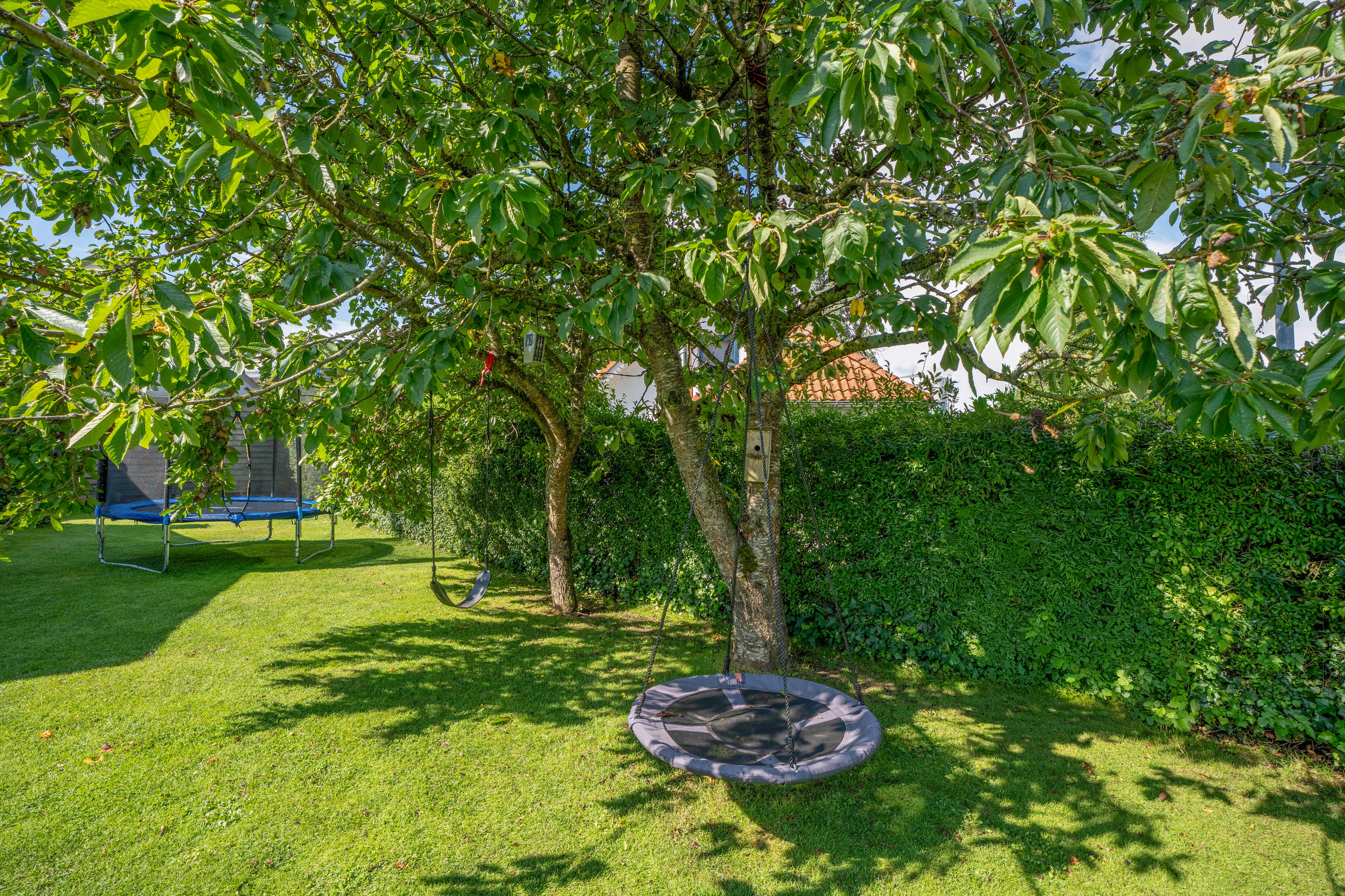 Fremhævet  billede i fuldskærmstilstand. Billede af Linien 7, 5683 Haarby