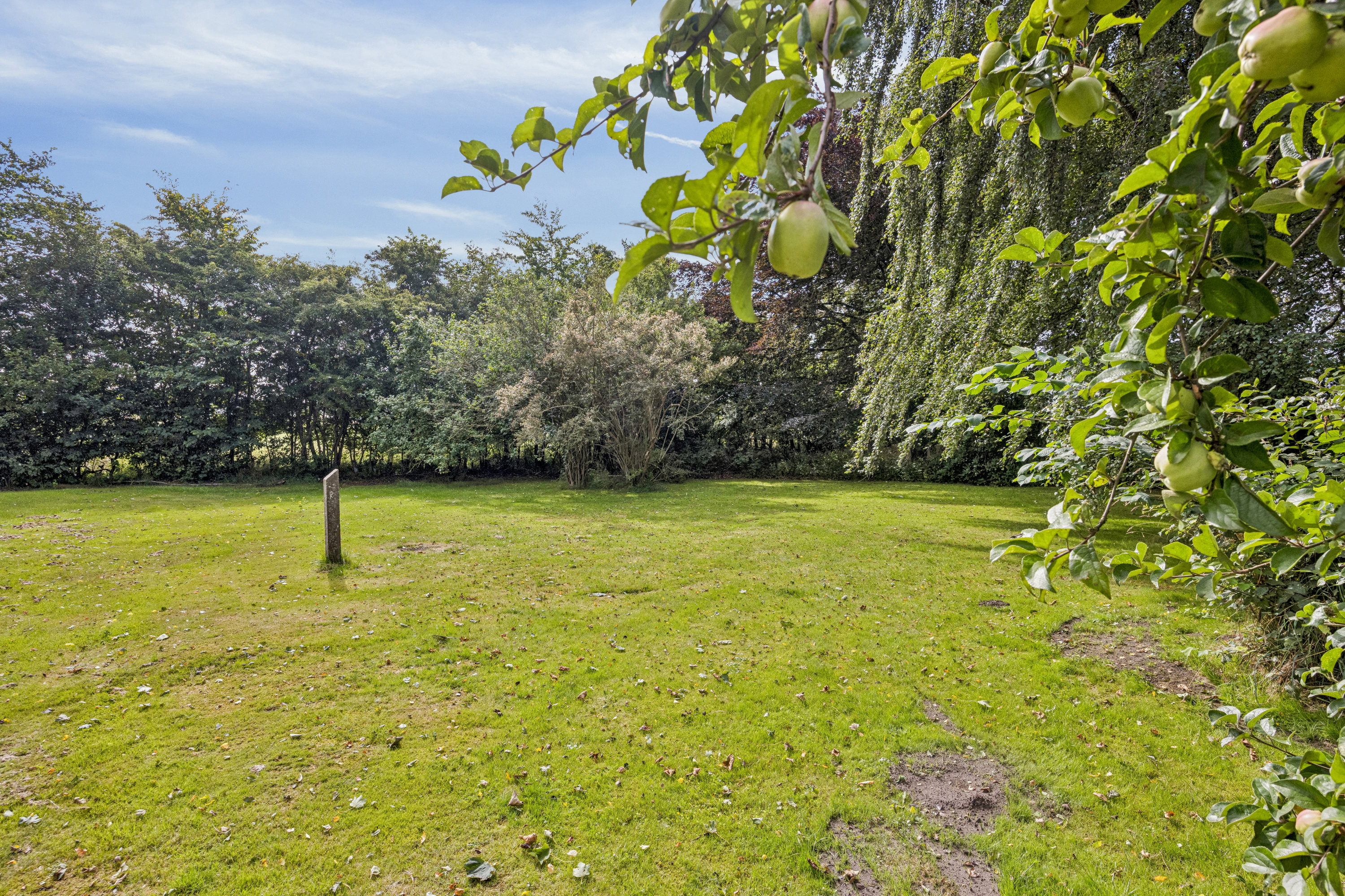 Fremhævet have billede i fuldskærmstilstand. Billede af Houvej 134, Ulsted, 9370 Hals