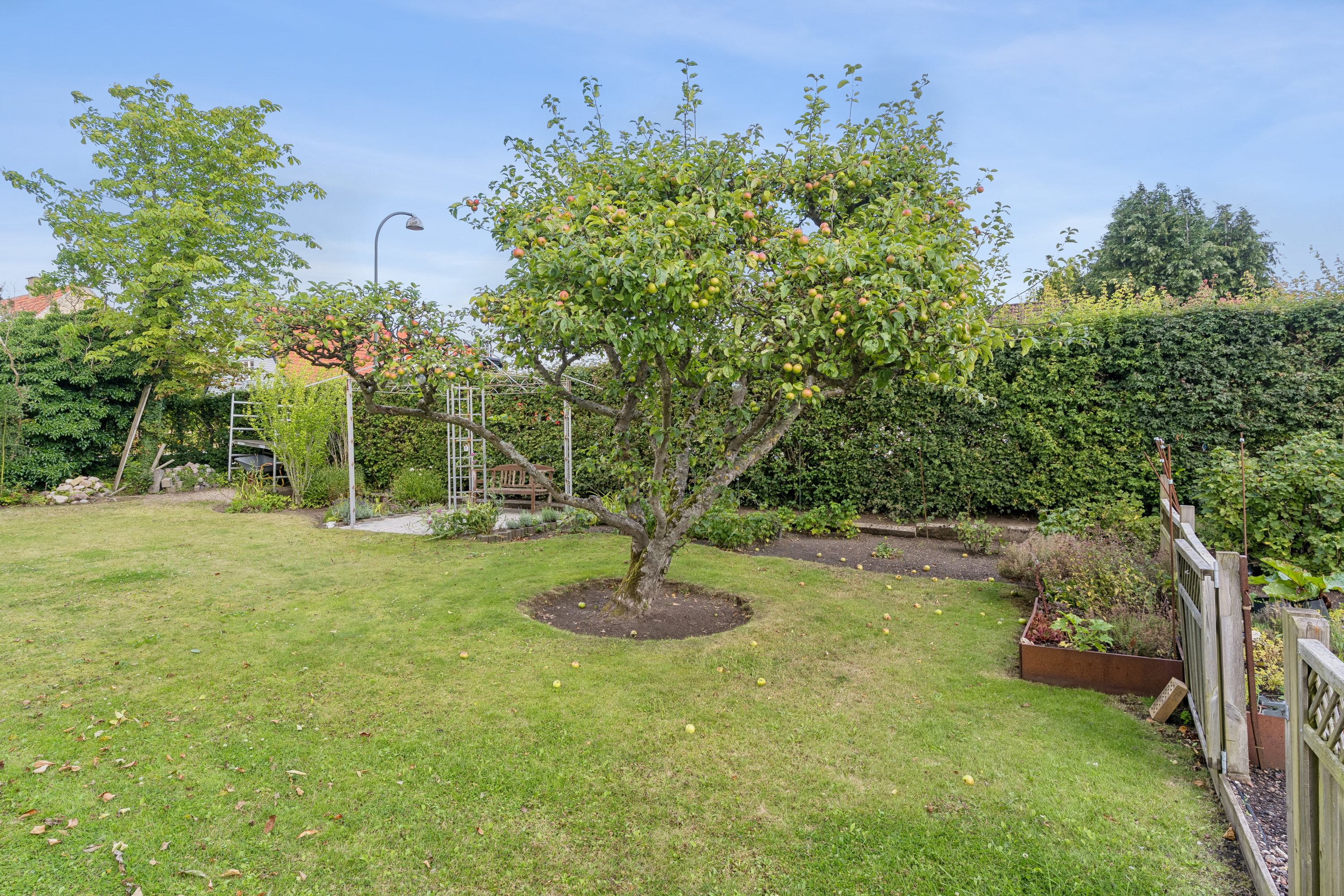 Miniaturebillede 2: have. Billede af Køllegårdsvej 36, 2730 Herlev