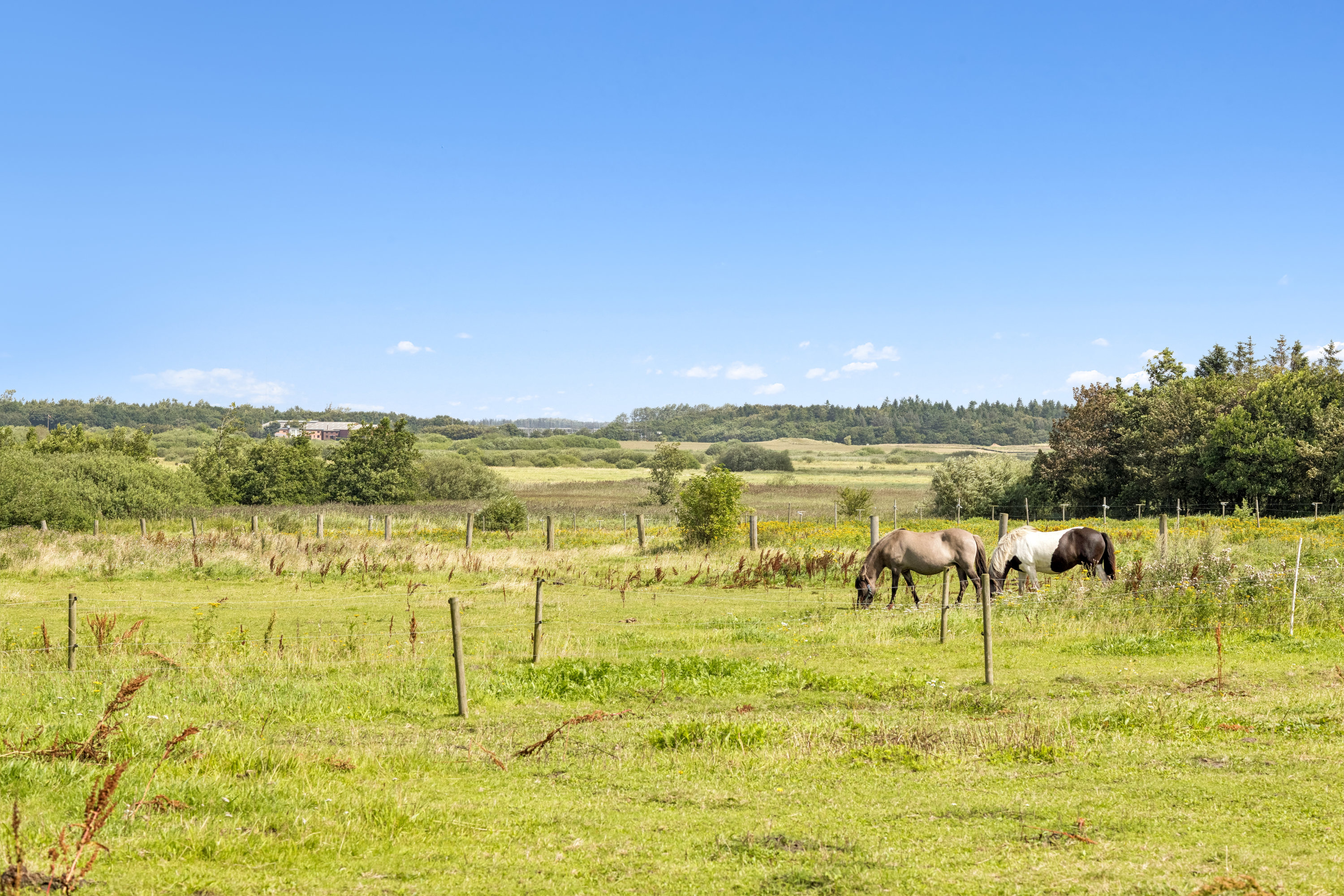 Fremhævet grund billede i fuldskærmstilstand. Billede af Haderslevvej 91, 6760 Ribe