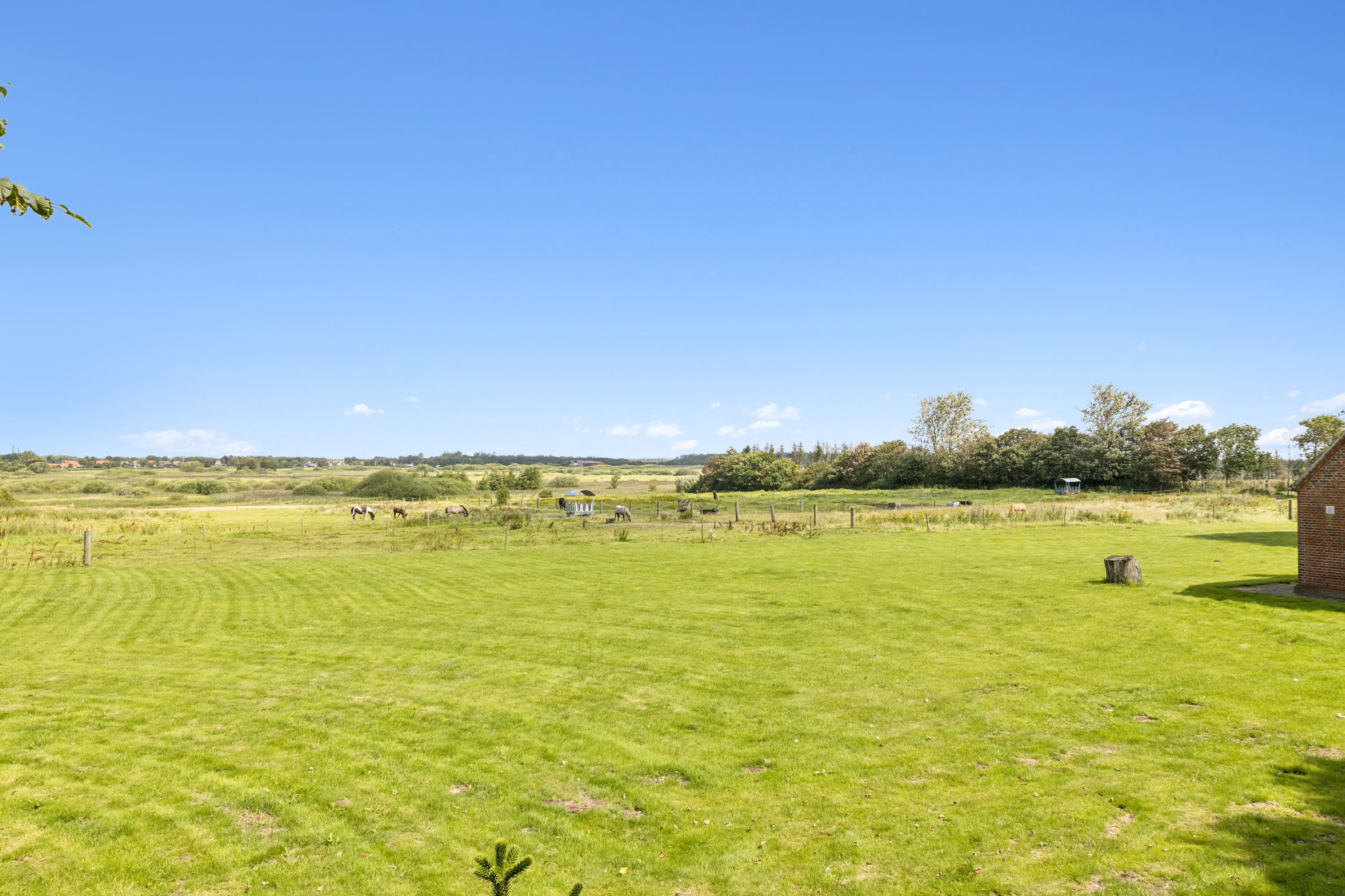 Fremhævet have billede i fuldskærmstilstand. Billede af Haderslevvej 91, 6760 Ribe