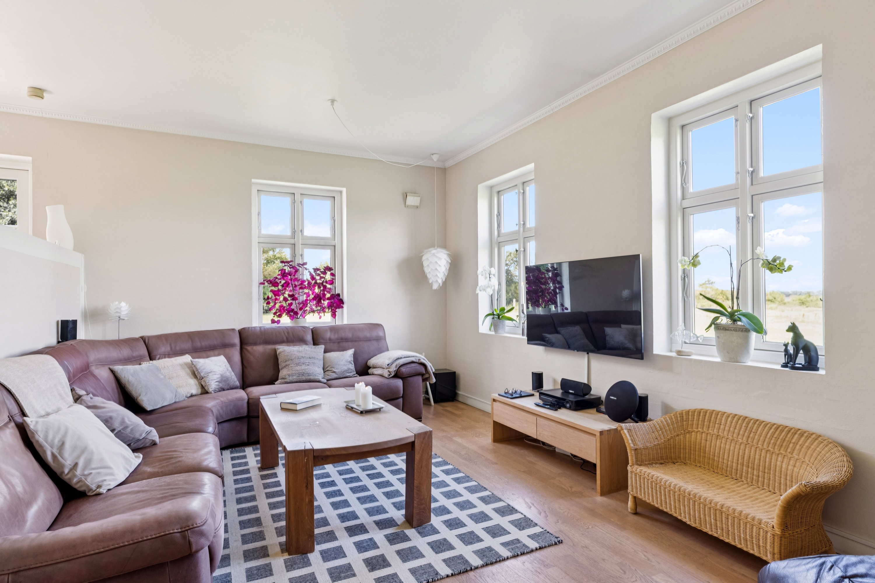 Fremhævet stue billede i fuldskærmstilstand. Billede af Haderslevvej 91, 6760 Ribe