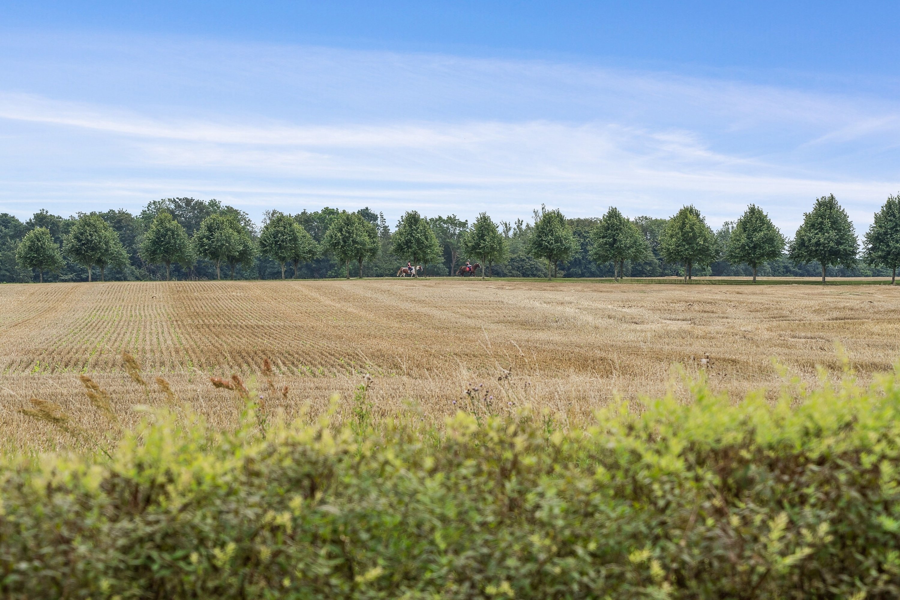 Fremhævet udsigt billede i fuldskærmstilstand. Billede af Flintemosevej 30, Bøgesø, 4700 Næstved