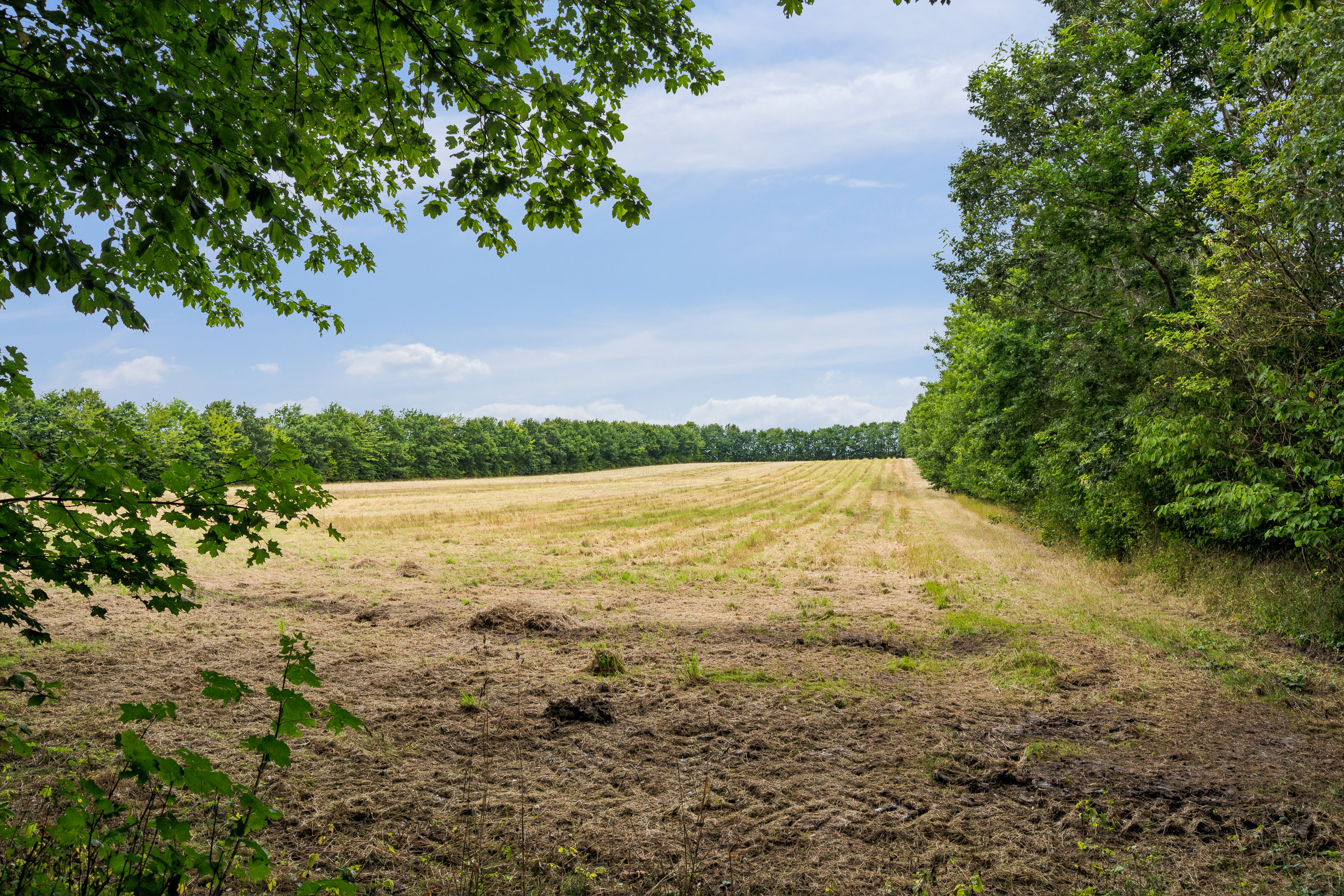 Fremhævet have billede i fuldskærmstilstand. Billede af Sandballevej 92, Grundfør, 8382 Hinnerup