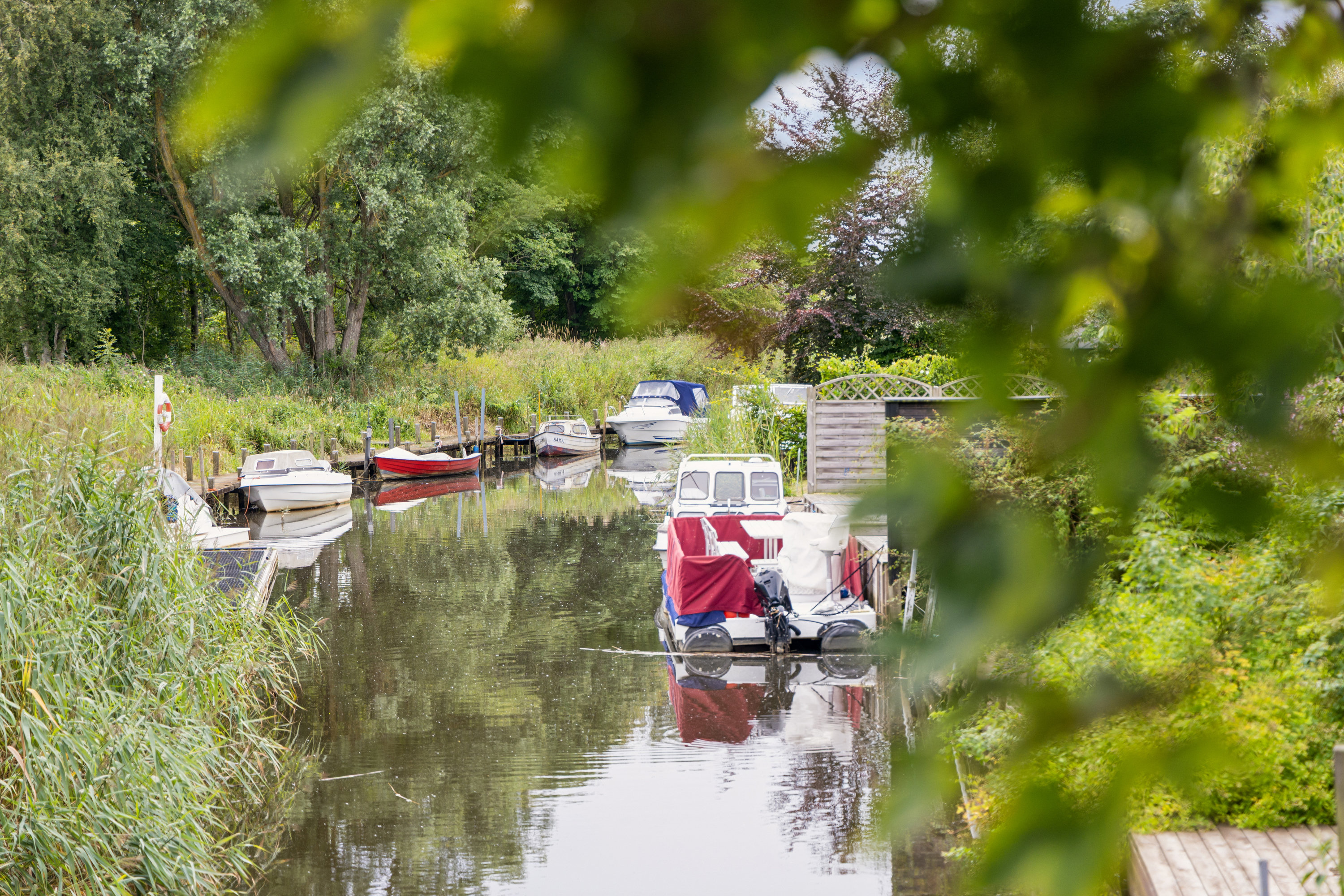 Fremhævet have billede i fuldskærmstilstand. Billede af Ellebæk 22, 9400 Nørresundby