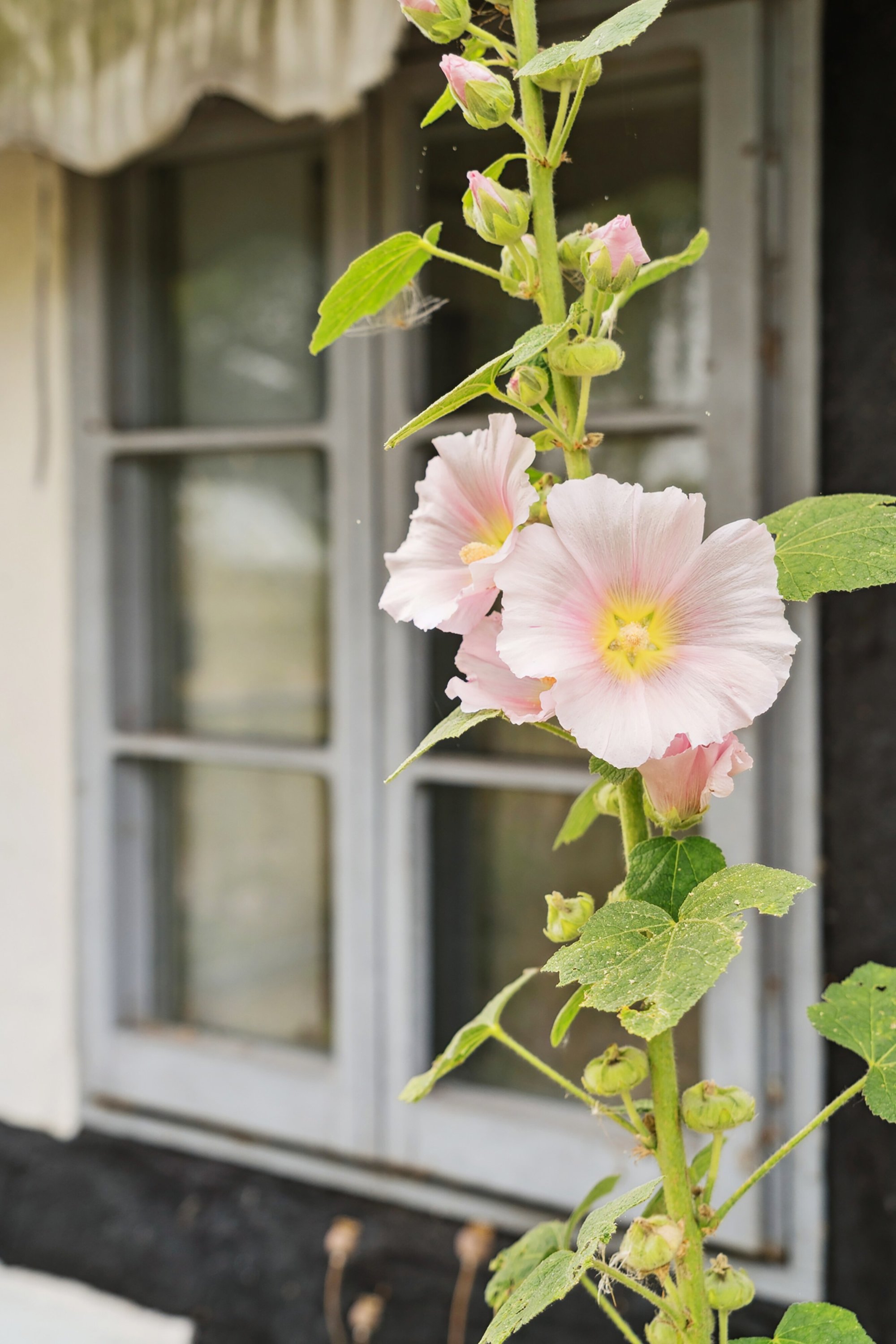 Fremhævet udendørs billede i fuldskærmstilstand. Billede af Odensevej 307, Ladby, 5300 Kerteminde