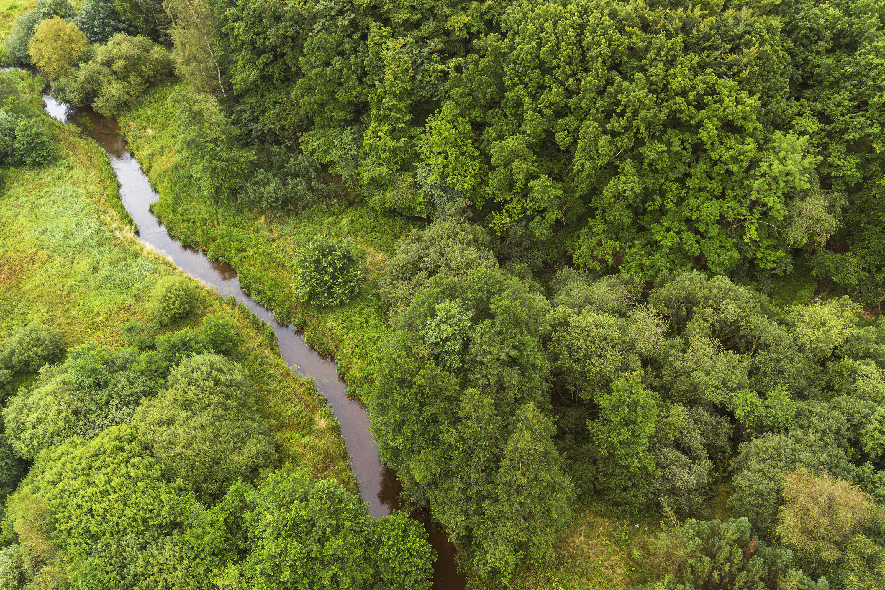Fremhævet område billede i fuldskærmstilstand. Billede af Torpet 131, 6682 Hovborg