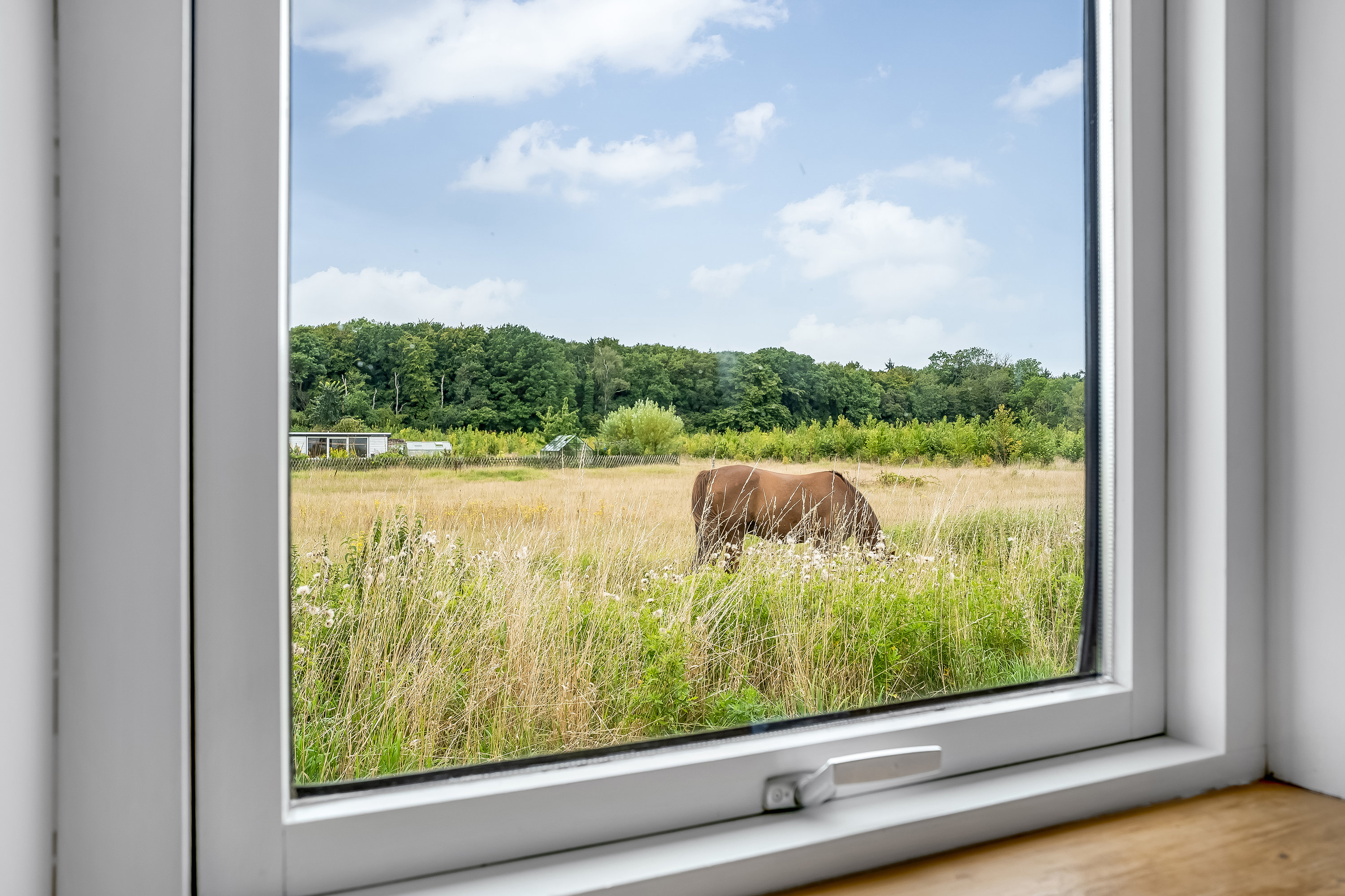 Miniaturebillede 1: udsigt. Billede af Skovvej 5, 4960 Holeby