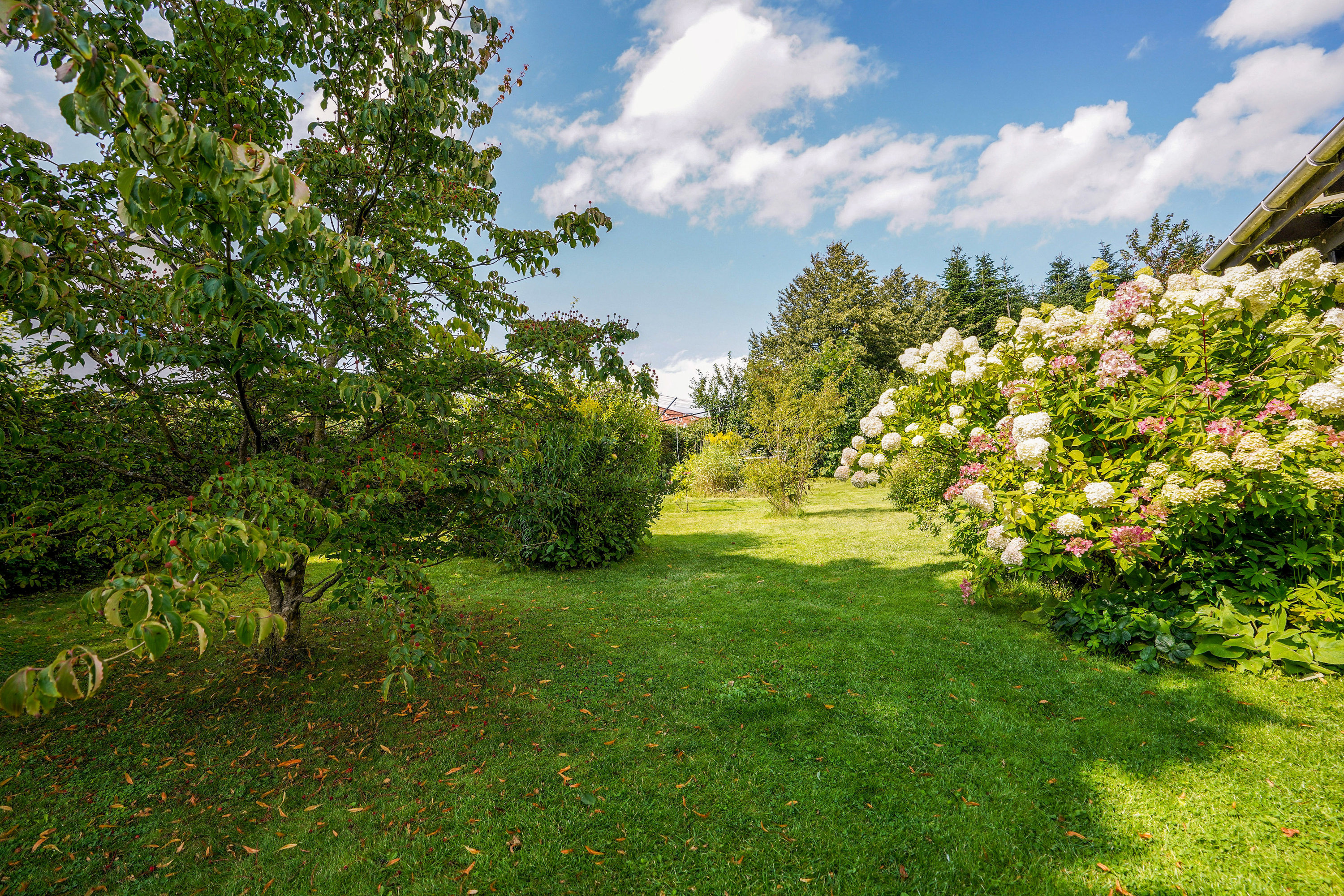 Fremhævet  billede i fuldskærmstilstand. Billede af Thyrasvej 15B, 7300 Jelling