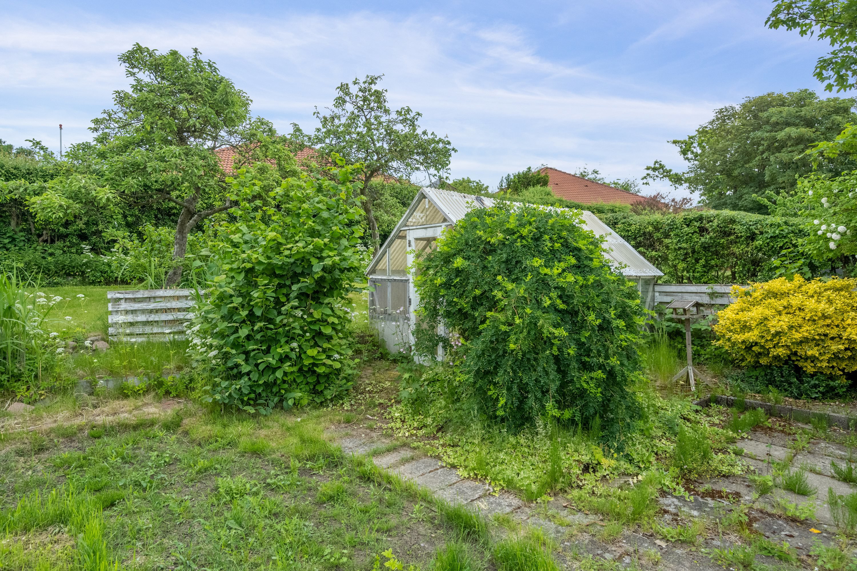 Fremhævet have billede i fuldskærmstilstand. Billede af Aldershøjvej 28, 9800 Hjørring