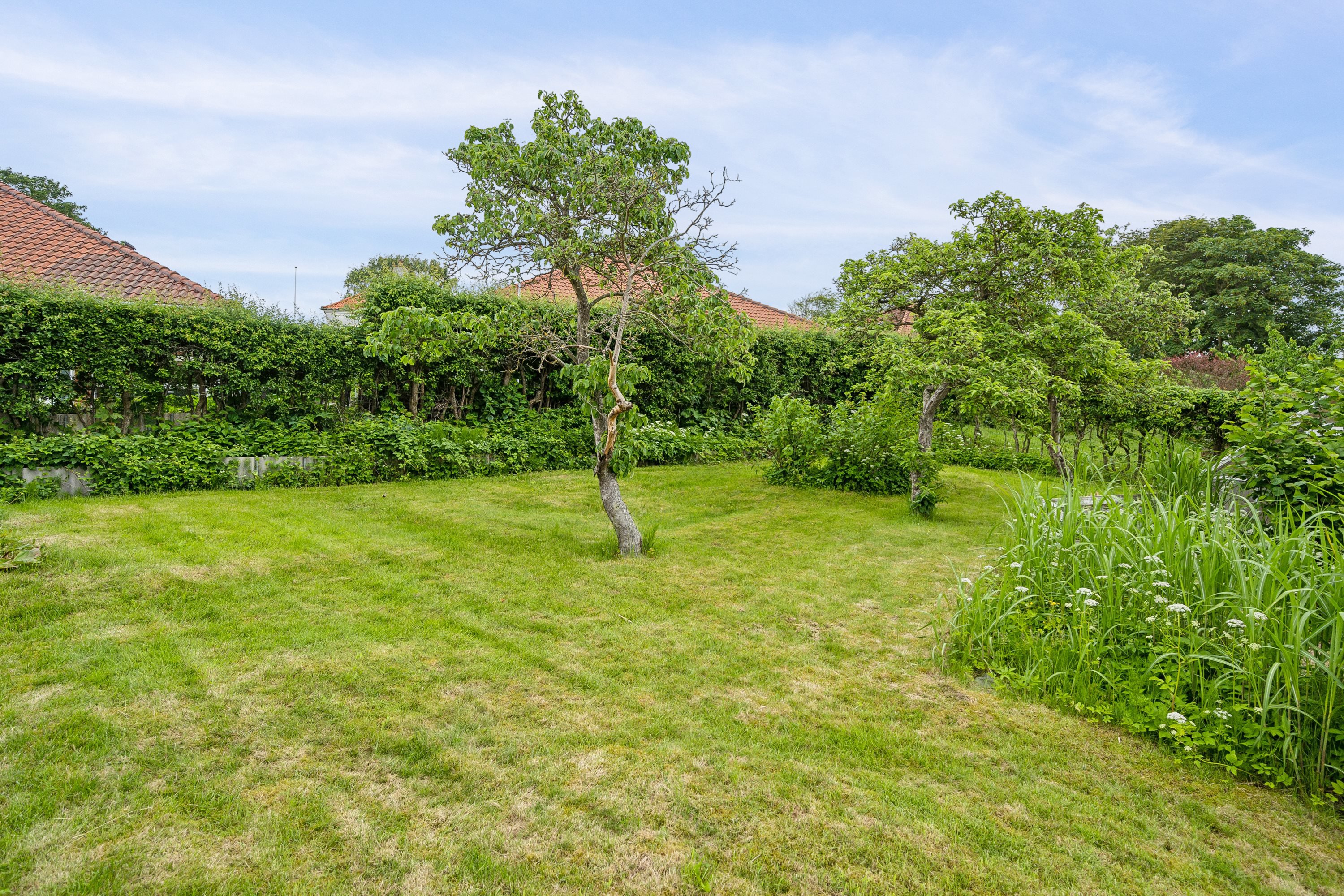 Fremhævet have billede i fuldskærmstilstand. Billede af Aldershøjvej 28, 9800 Hjørring