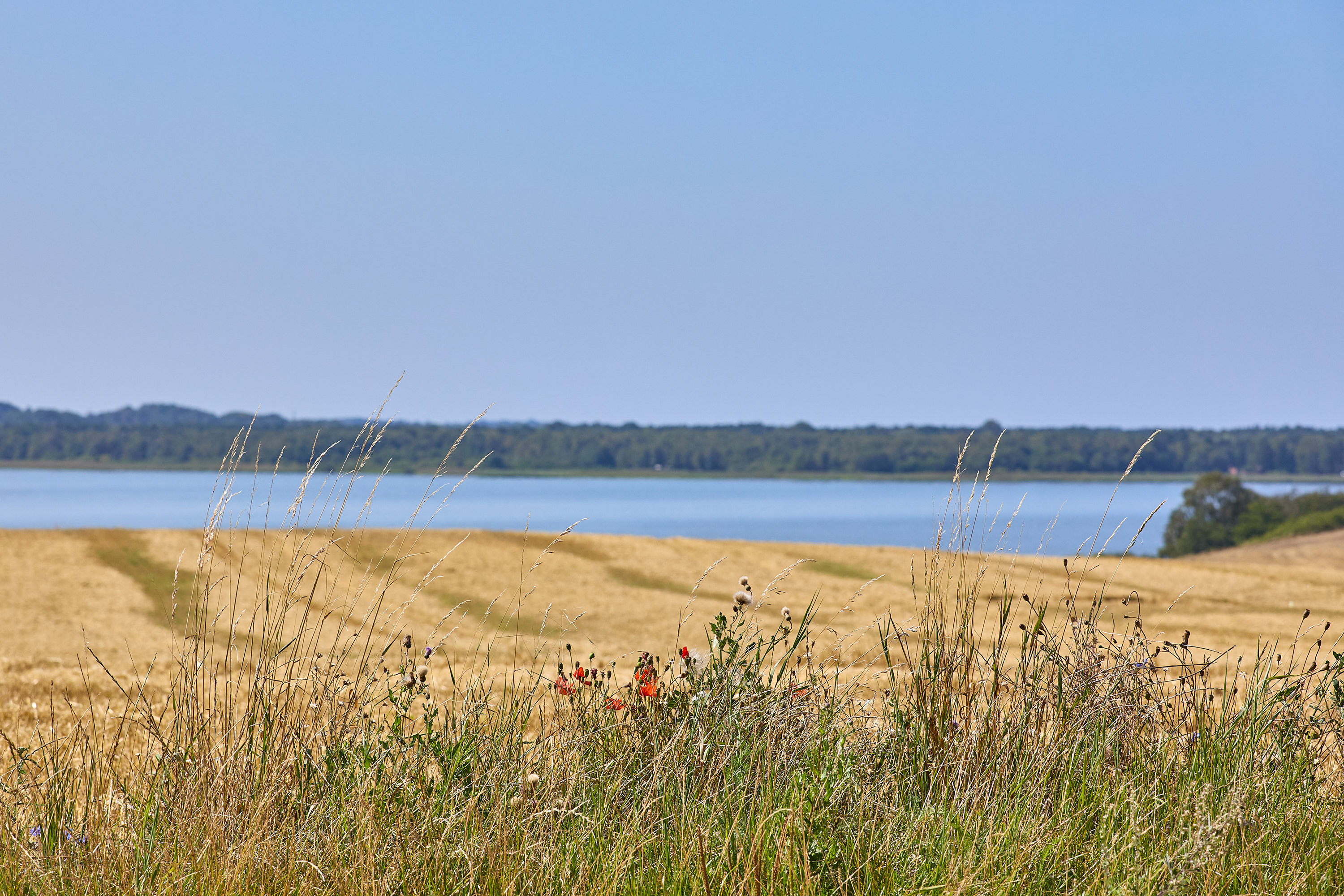 Fremhævet område billede i fuldskærmstilstand. Billede af Jernbæk Alle 38, Ramløse, 3200 Helsinge