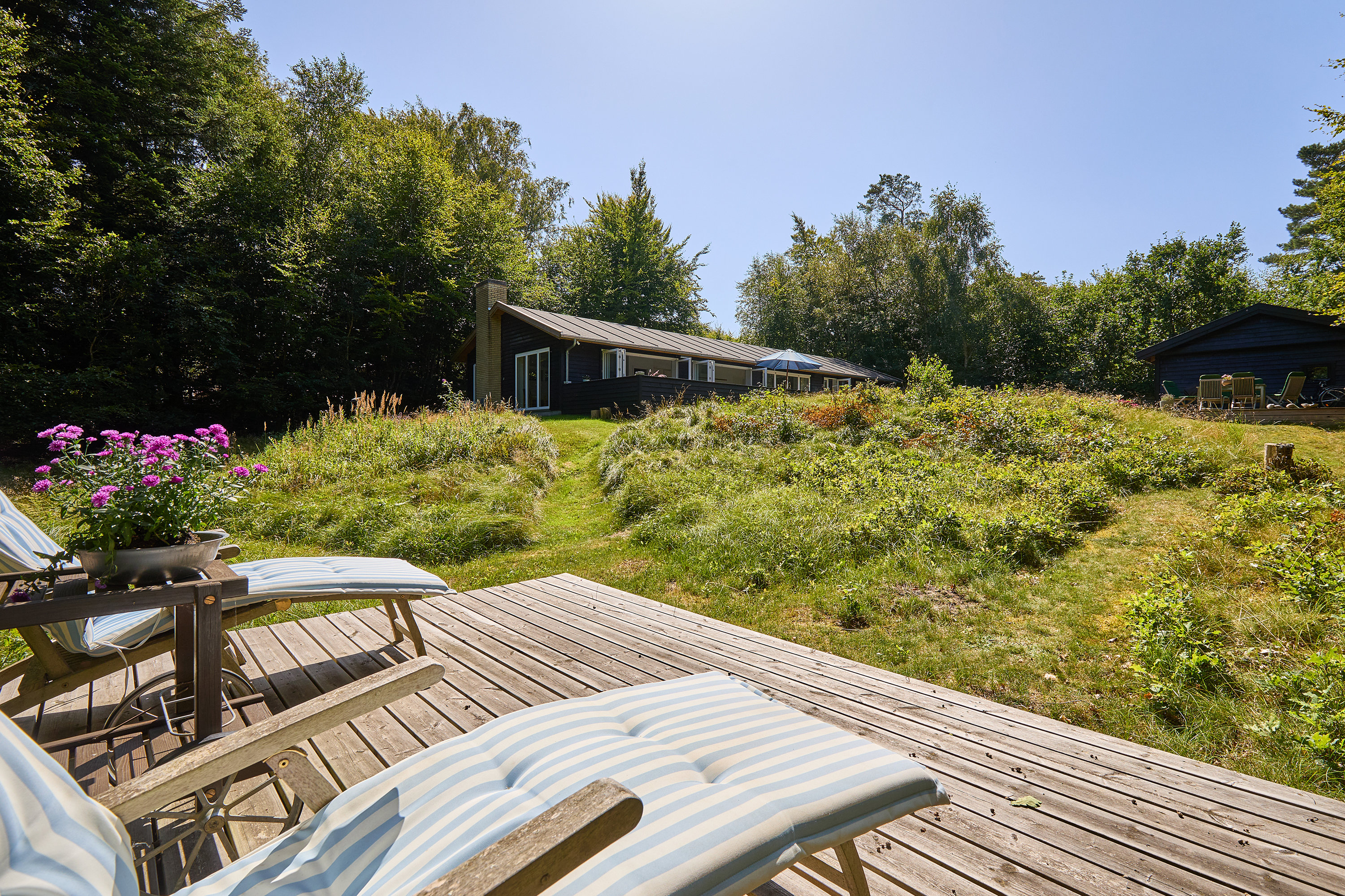 Miniaturebillede 2: terrasse. Billede af Skovbakken 3, Rågeleje, 3210 Vejby