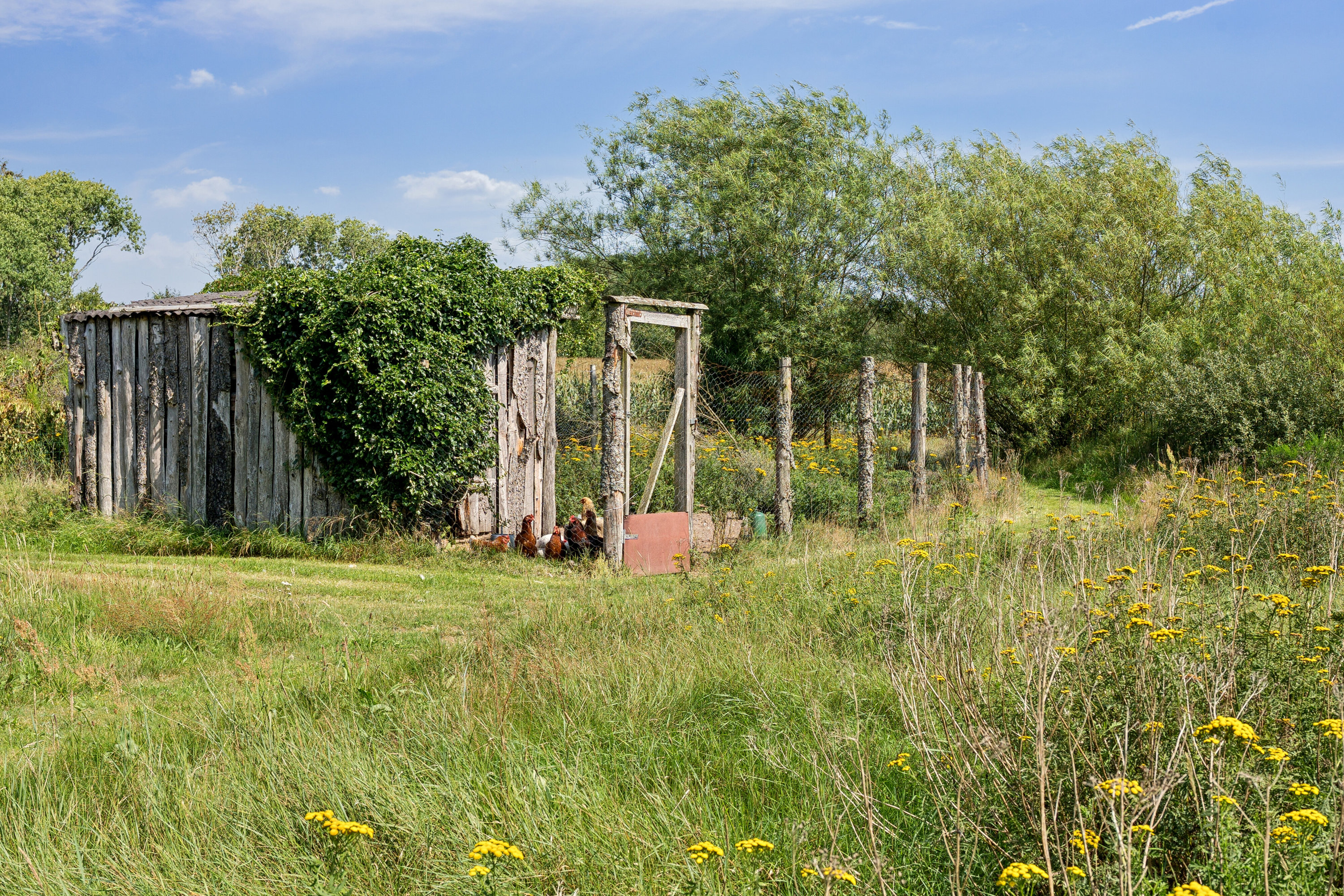 Fremhævet set fra haven billede i fuldskærmstilstand. Billede af Munklindevej 62, 7441 Bording
