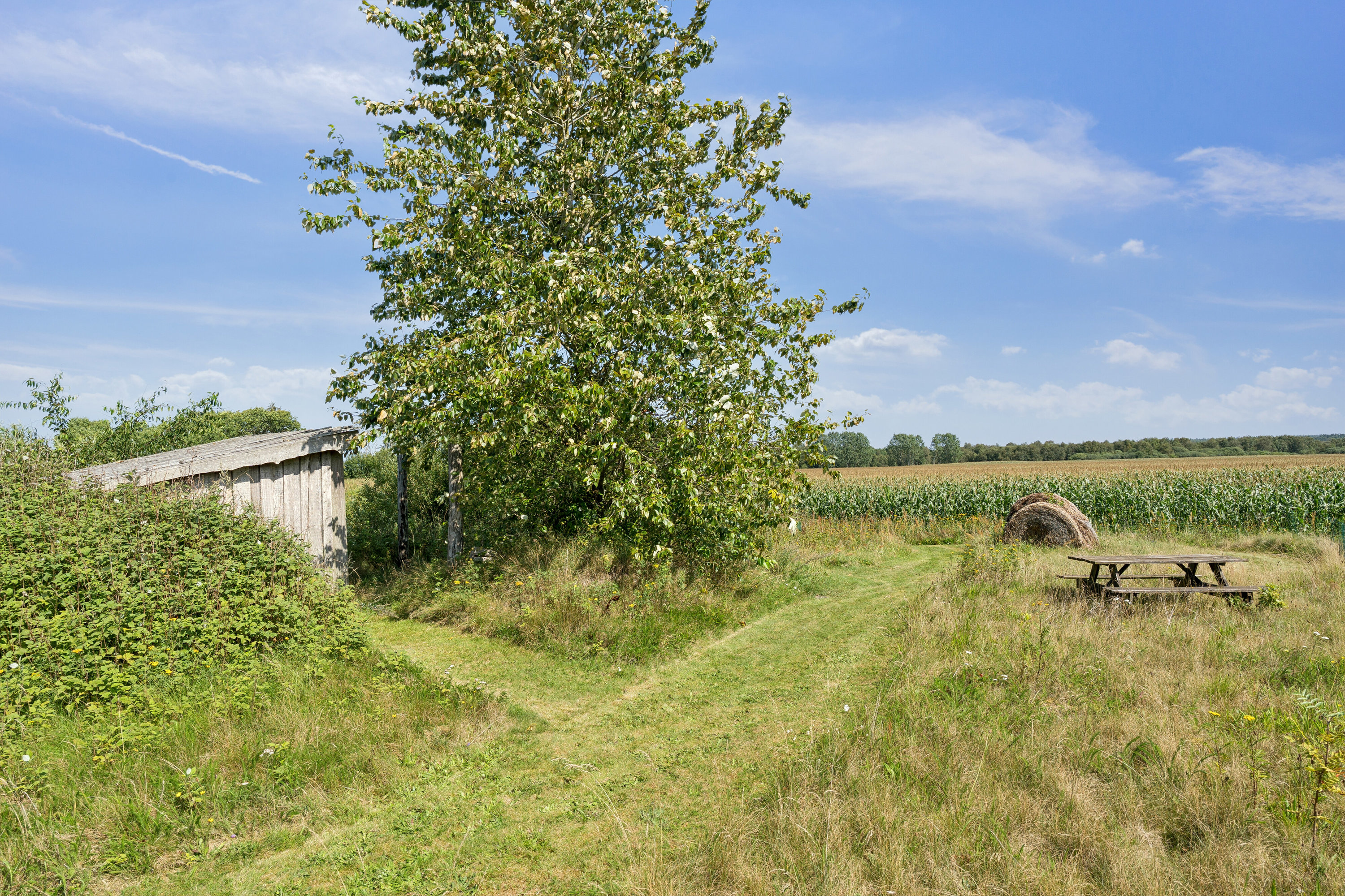 Fremhævet set fra haven billede i fuldskærmstilstand. Billede af Munklindevej 62, 7441 Bording