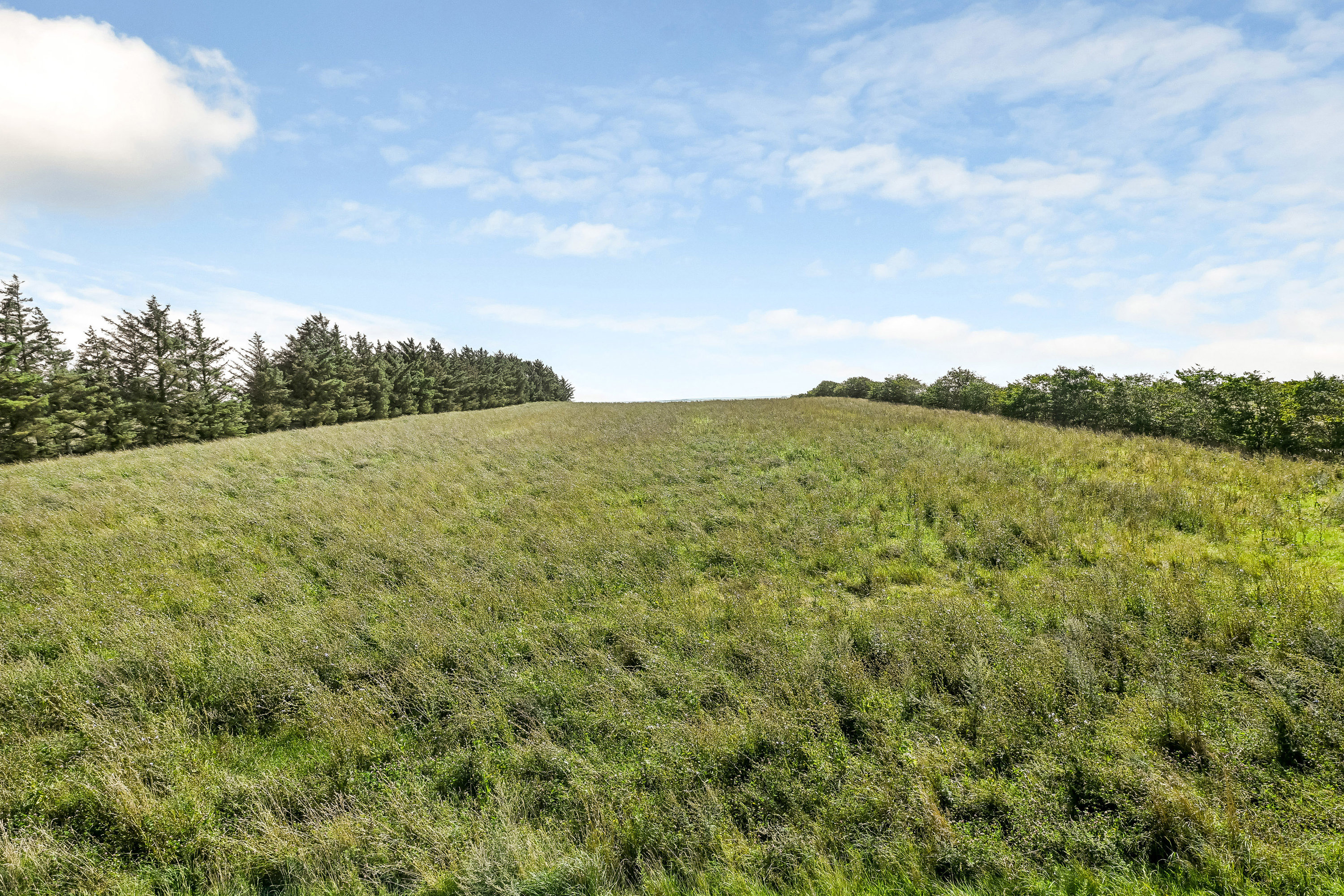 Miniaturebillede 1: område. Billede af Sjelborgdalen 7, 6710 Esbjerg V