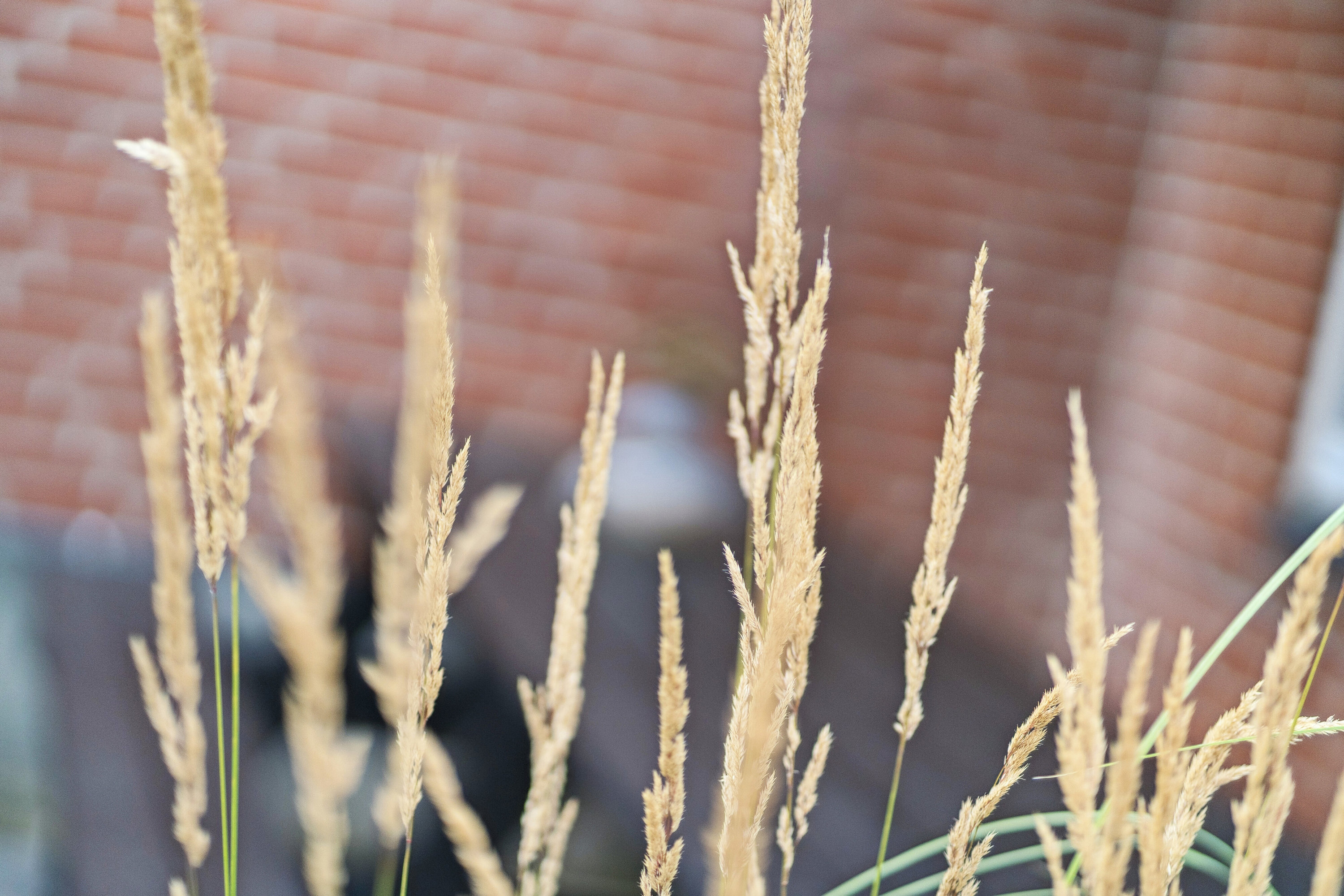 Fremhævet udendørs billede i fuldskærmstilstand. Billede af Krybdalvej 8, 8620 Kjellerup