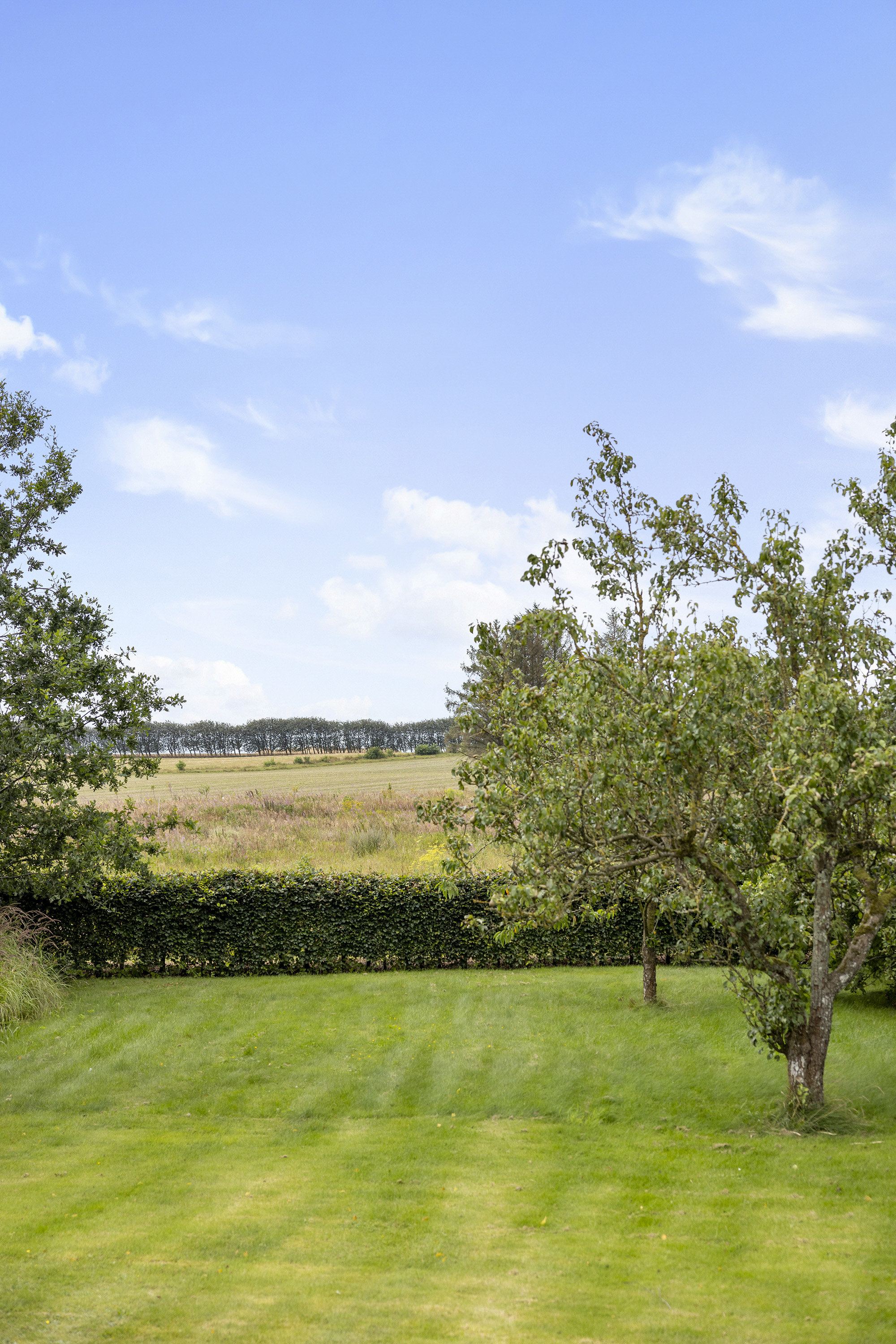 Fremhævet udsigt billede i fuldskærmstilstand. Billede af Hjørringvej 229, Thorshøj, 9750 Østervrå