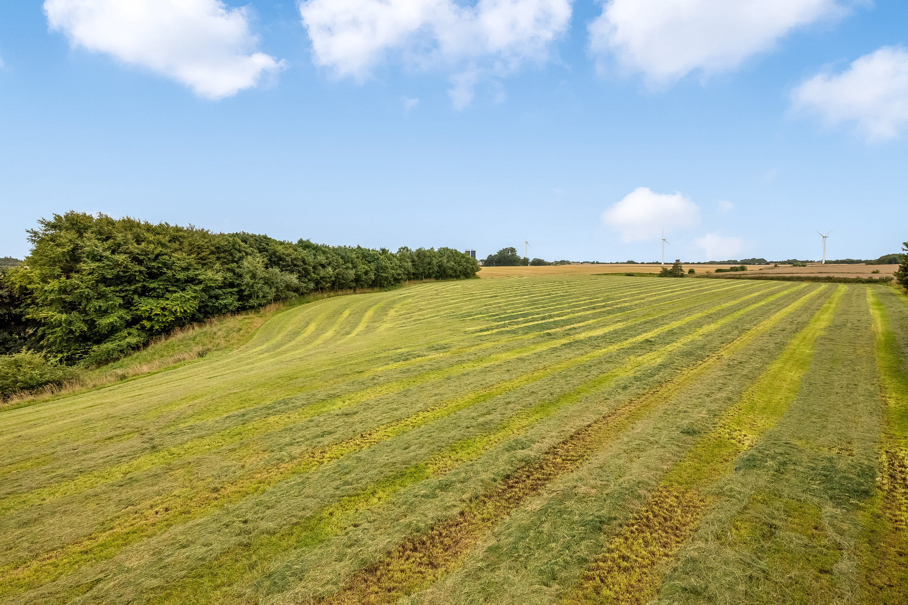 Fremhævet jordtilliggende billede i fuldskærmstilstand. Billede af Broholmvej 9, Resen, 7600 Struer