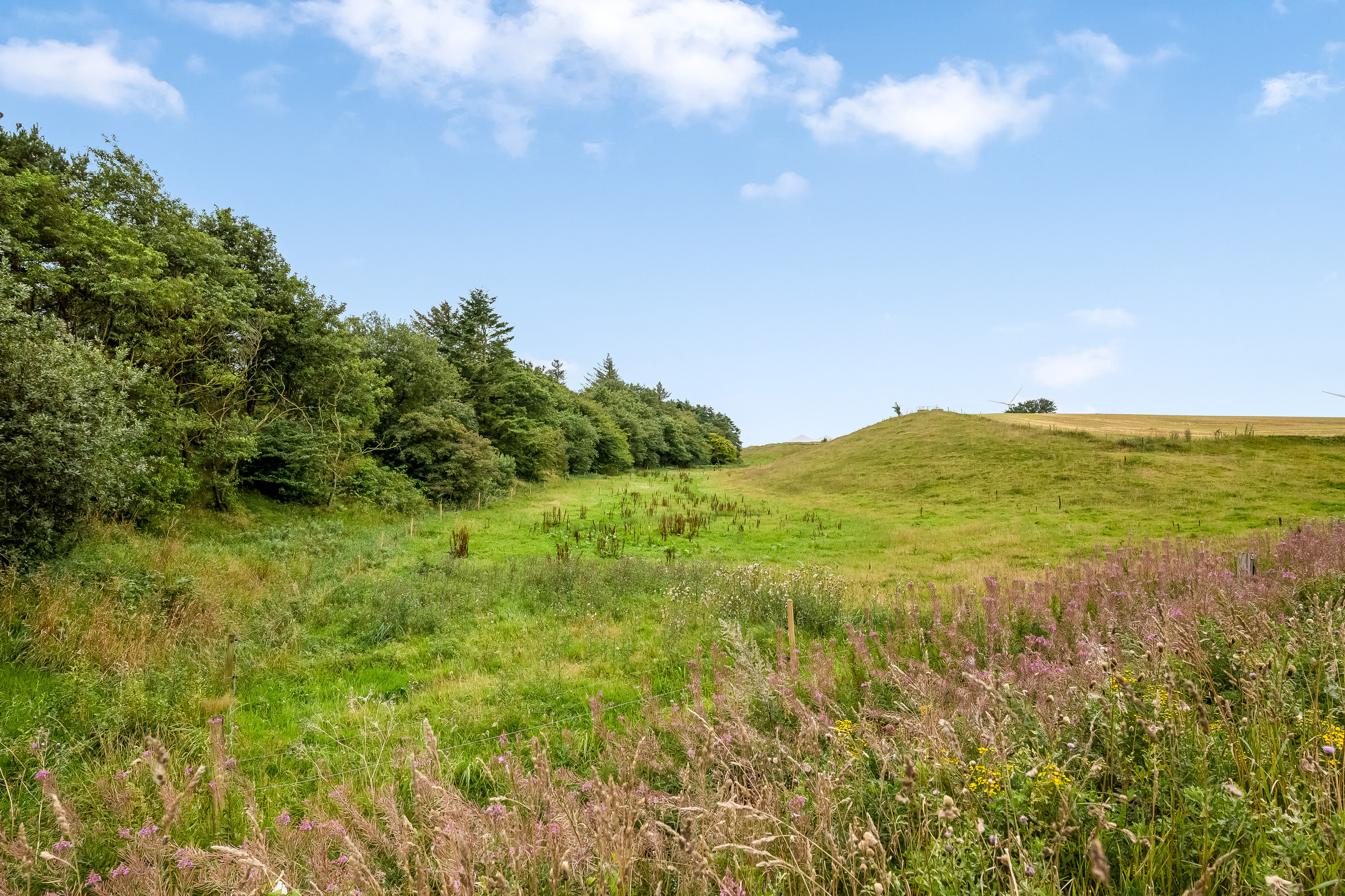 Fremhævet jordtilliggende billede i fuldskærmstilstand. Billede af Broholmvej 9, Resen, 7600 Struer