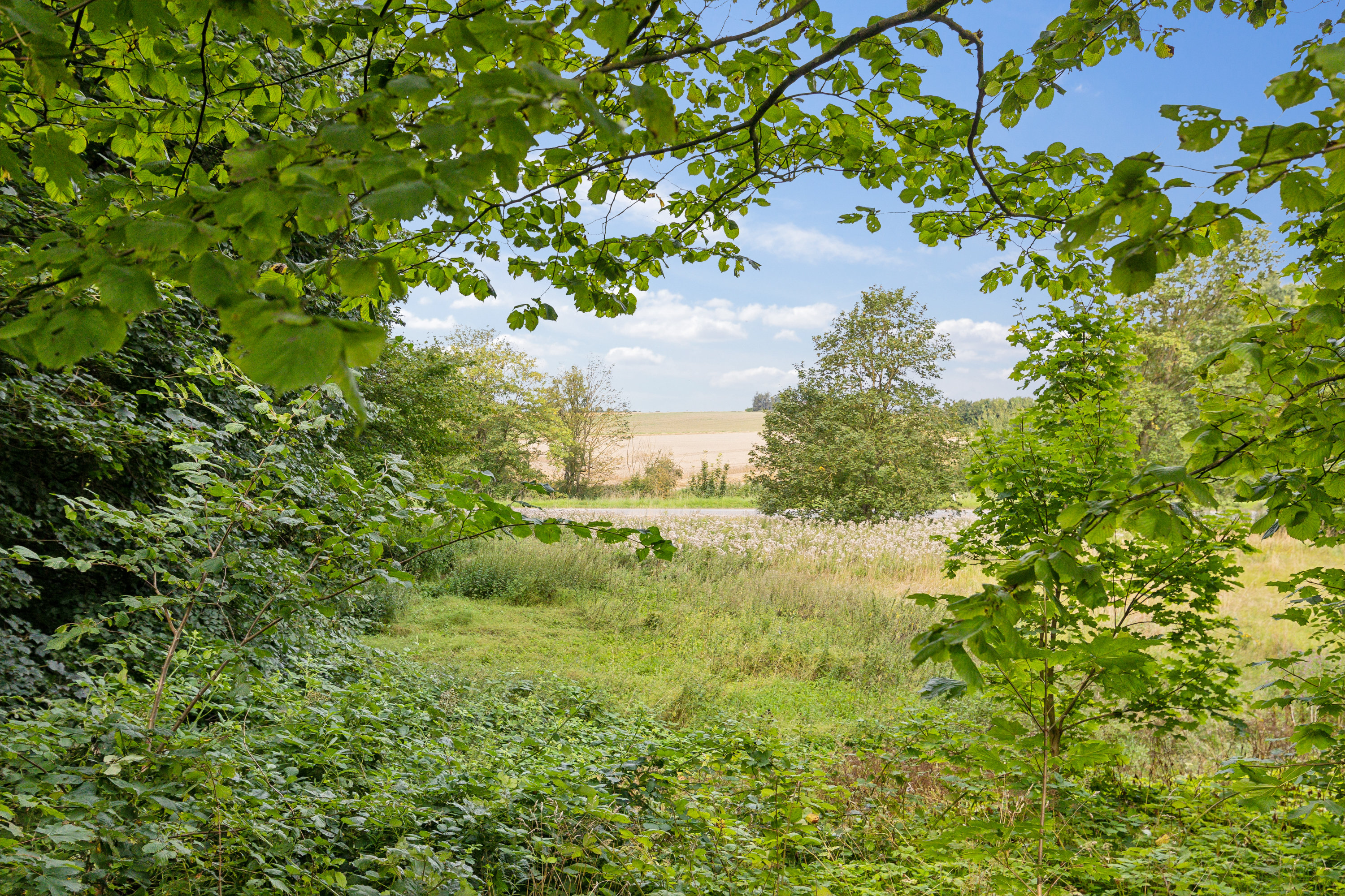 Fremhævet have billede i fuldskærmstilstand. Billede af Dr. Madsensvej 11, Harridslev, 8930 Randers NØ