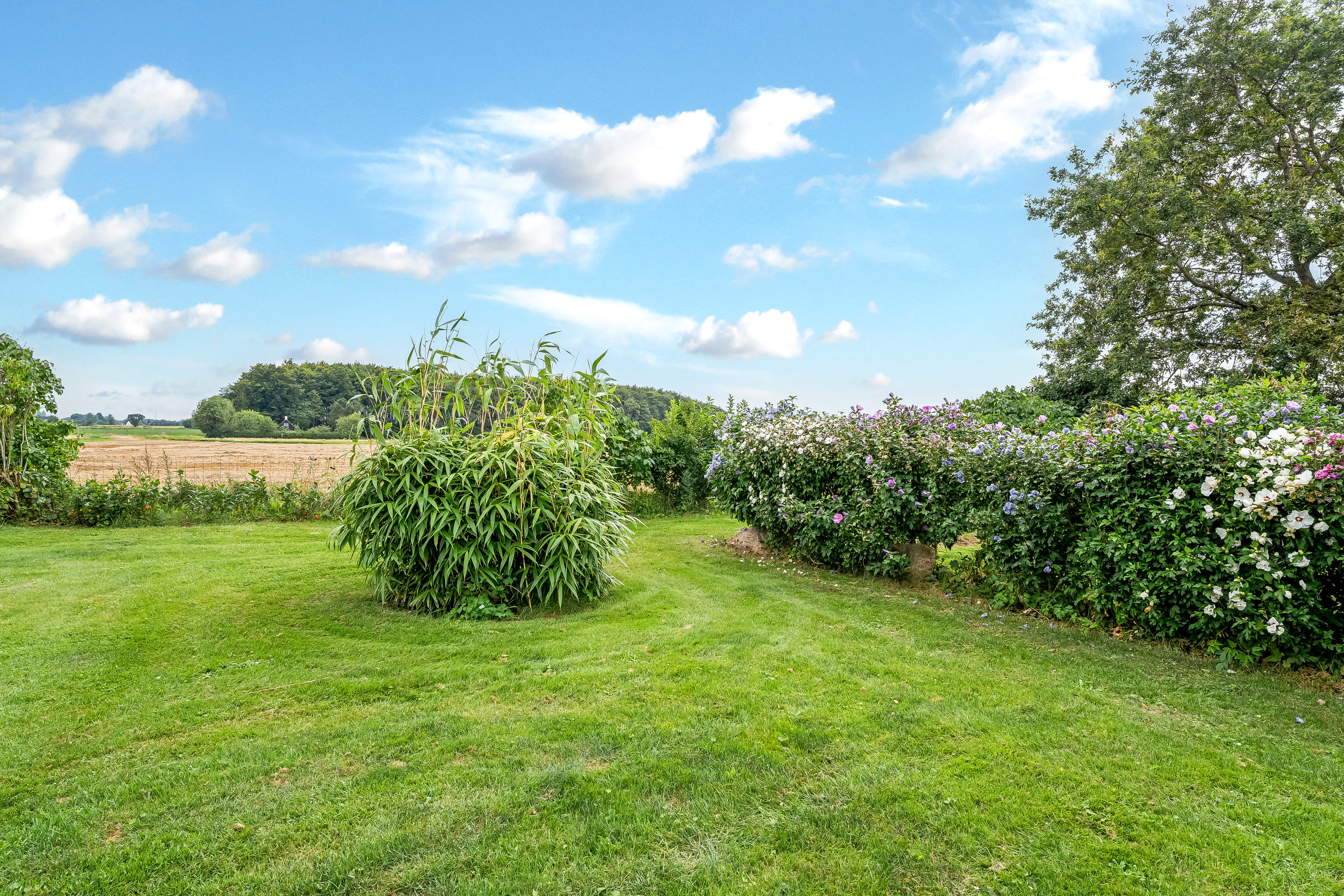 Fremhævet have billede i fuldskærmstilstand. Billede af Ågabsvej 17, 4930 Maribo