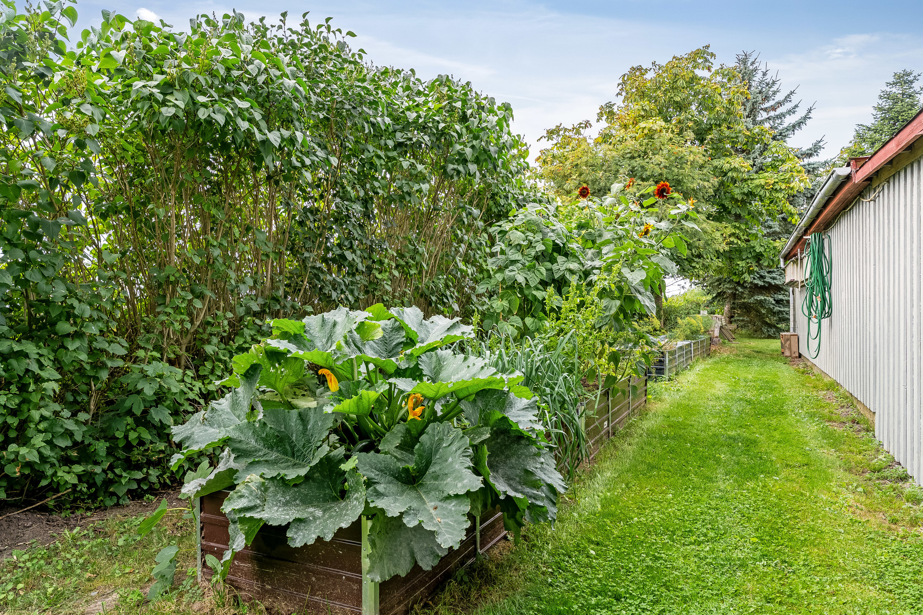 Fremhævet have billede i fuldskærmstilstand. Billede af Ågabsvej 17, 4930 Maribo