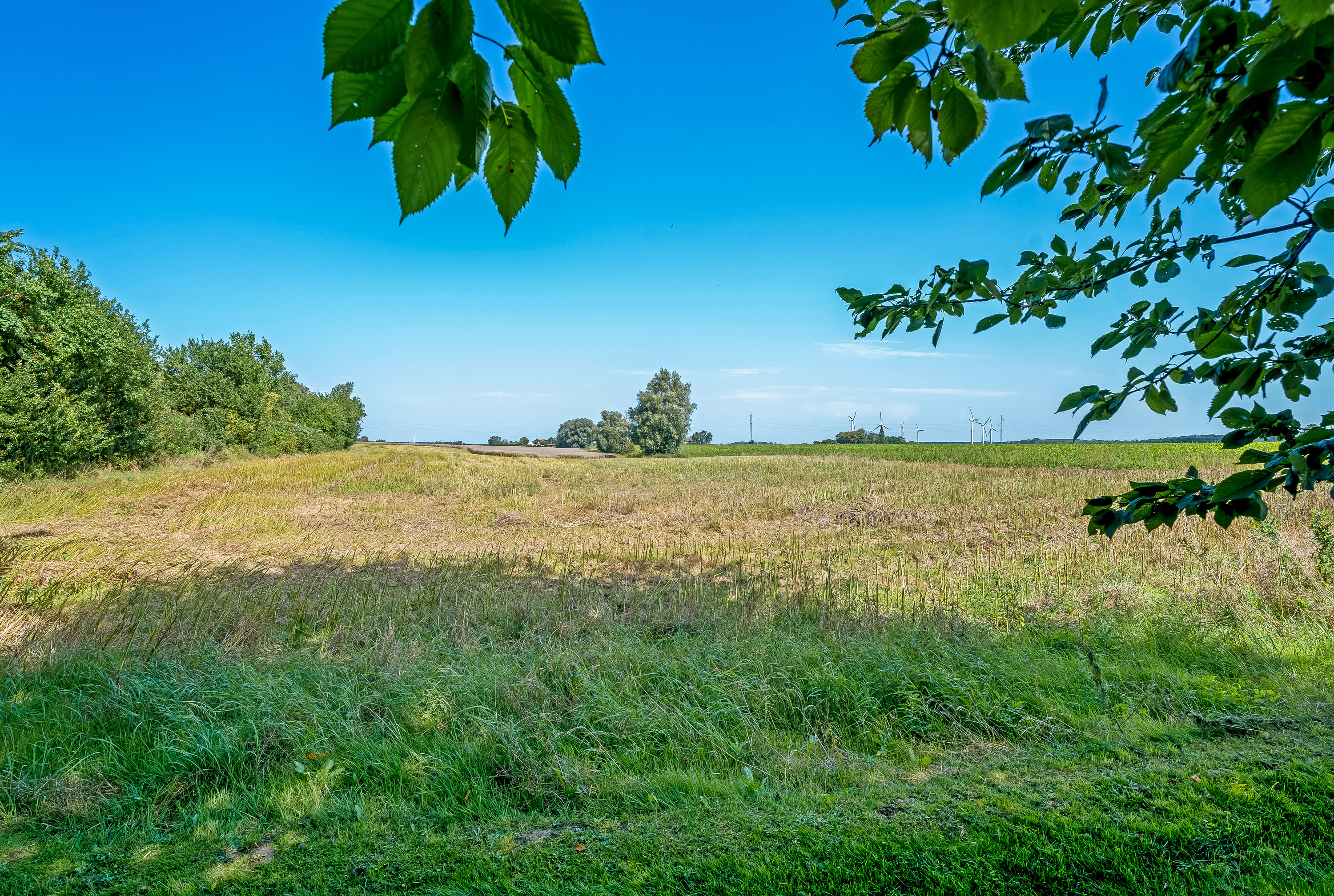 Fremhævet udsigt billede i fuldskærmstilstand. Billede af Vestre Landevej 106, 4951 Nørreballe