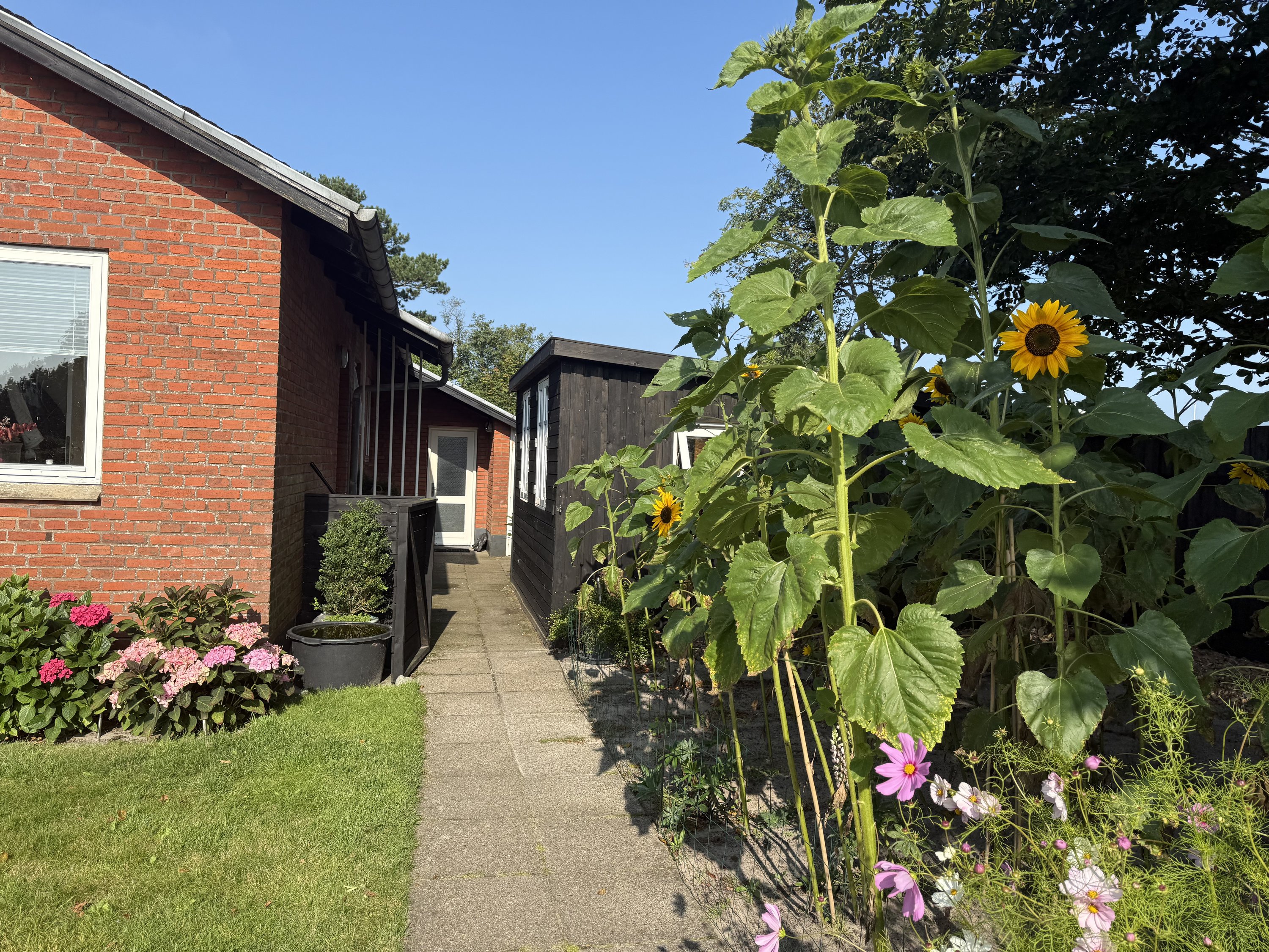 Fremhævet  billede i fuldskærmstilstand. Billede af Vestervejen 75, Nordby, 6720 Fanø