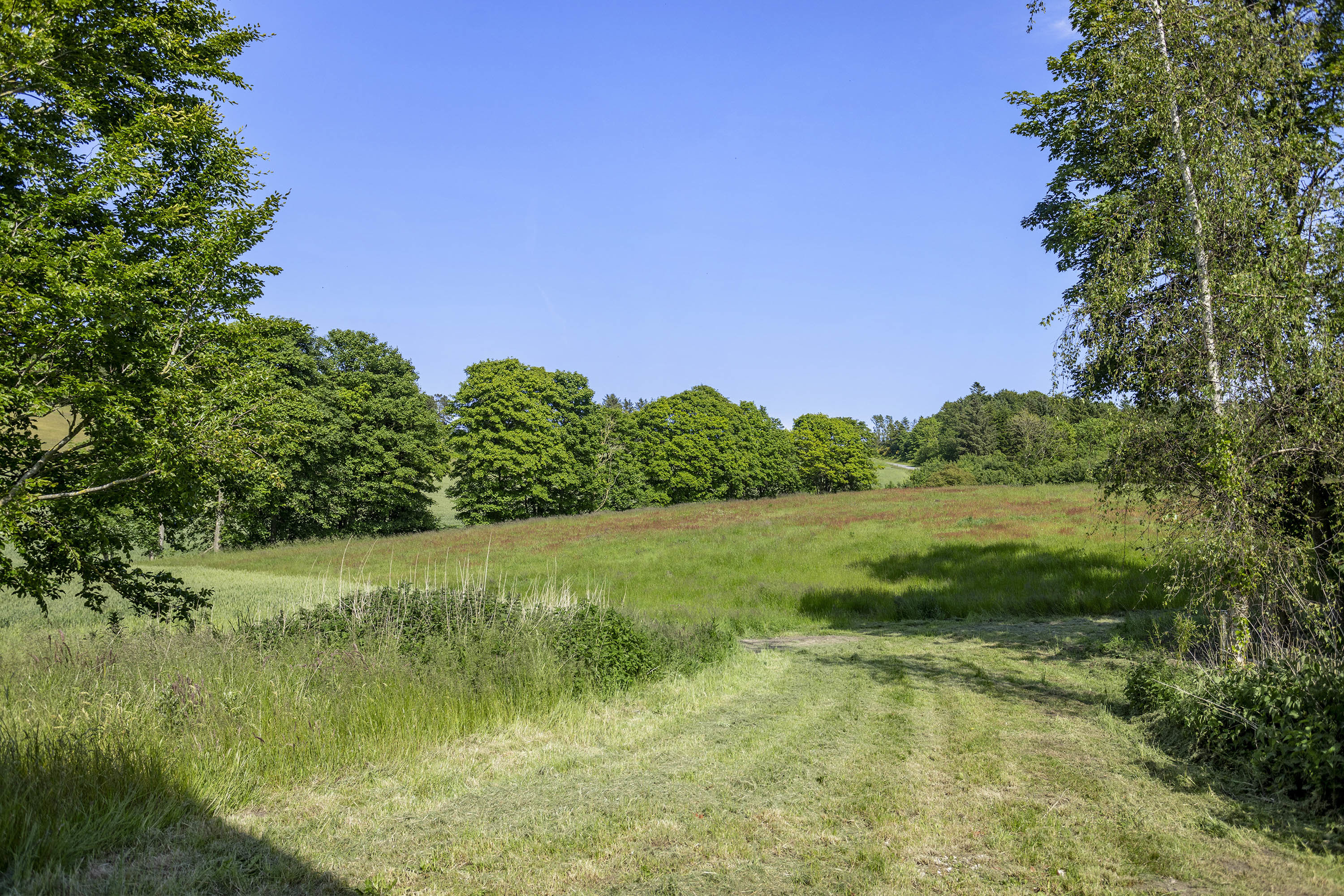 Fremhævet have billede i fuldskærmstilstand. Billede af Sdr. Kirkevej 56, Præstbro, 9330 Dronninglund