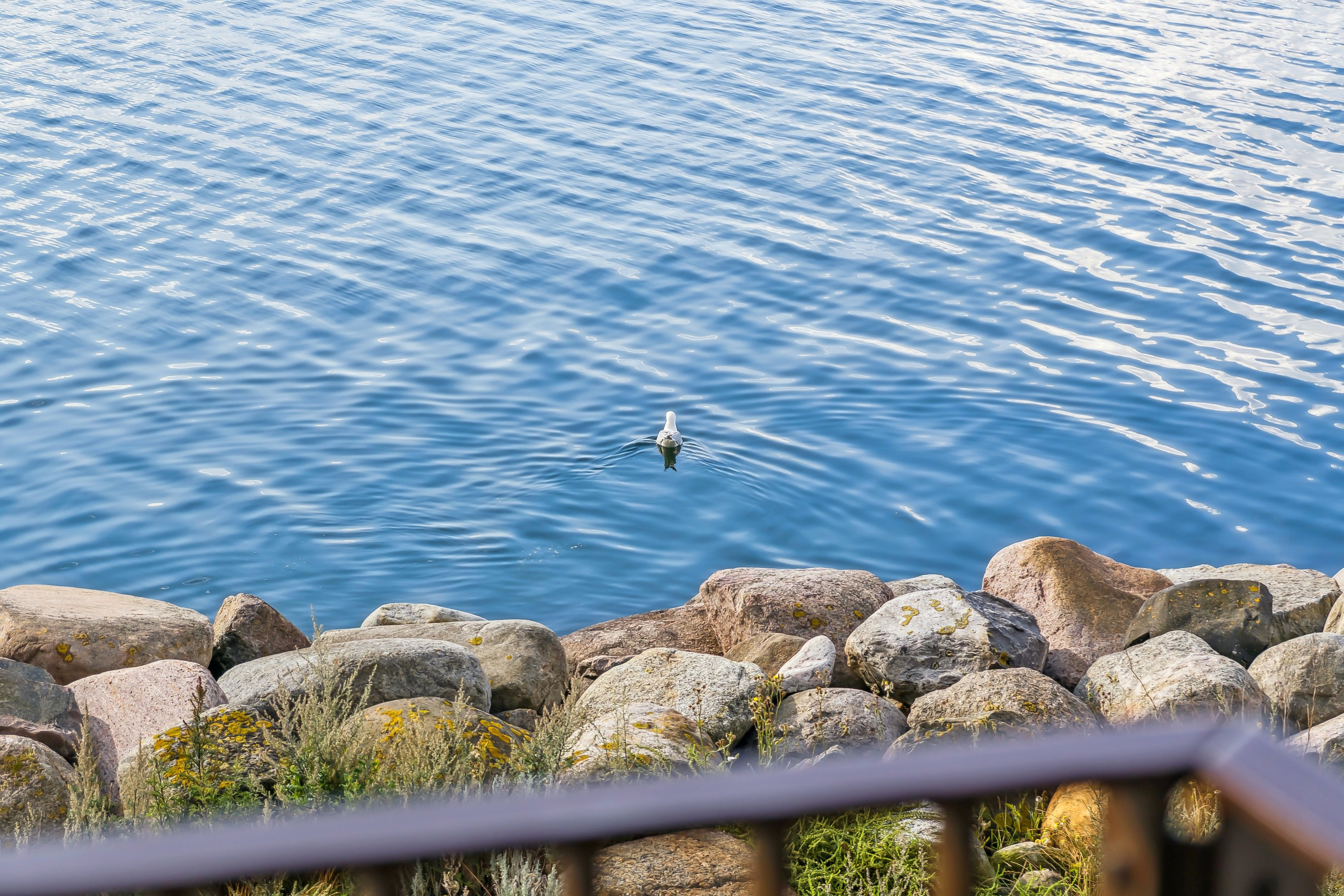 Fremhævet  billede i fuldskærmstilstand. Billede af Færgebyen 46, 1. 2., Hou, 8300 Odder