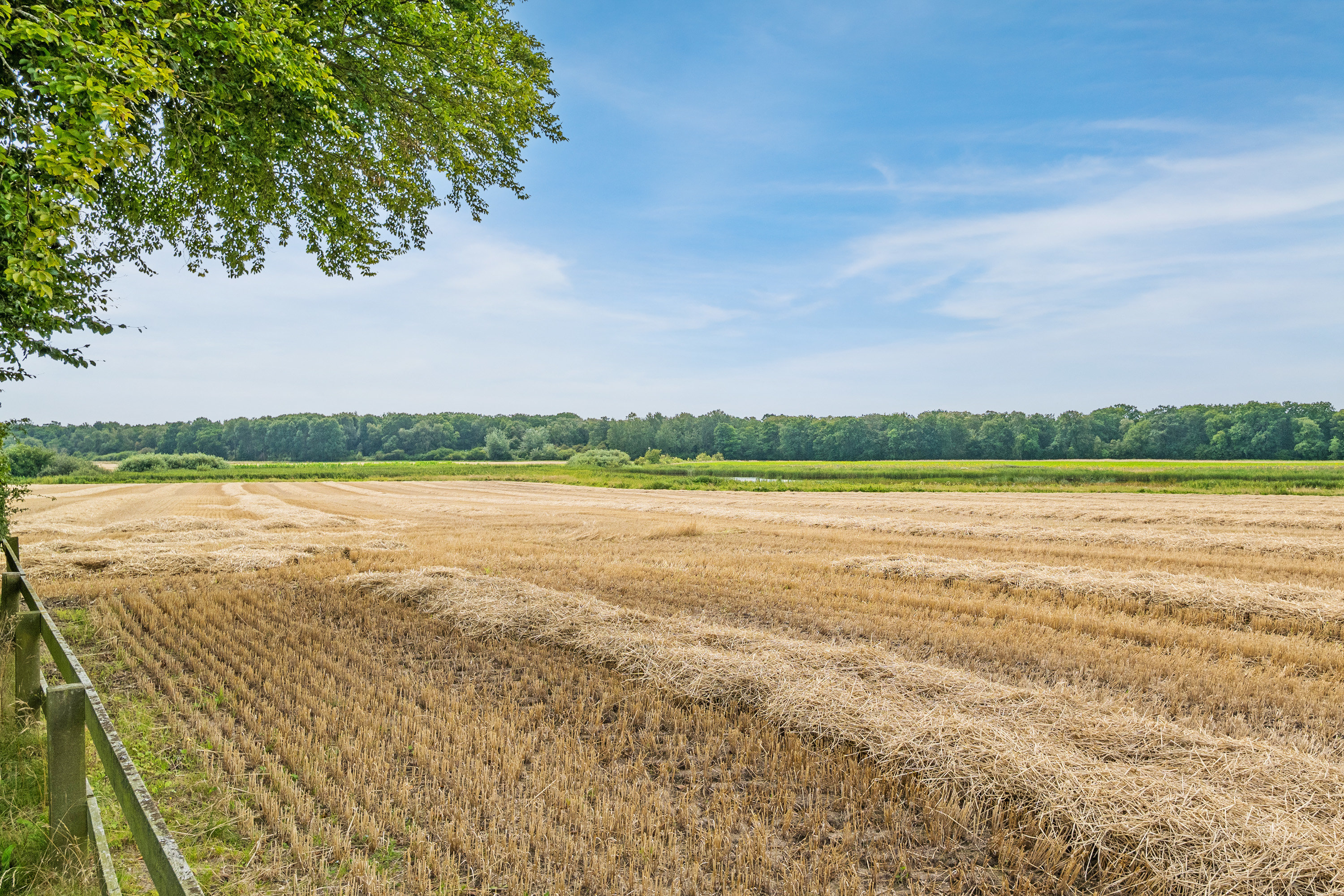 Fremhævet  billede i fuldskærmstilstand. Billede af Eriksdalsvej 10, Falkerslev, 4871 Horbelev