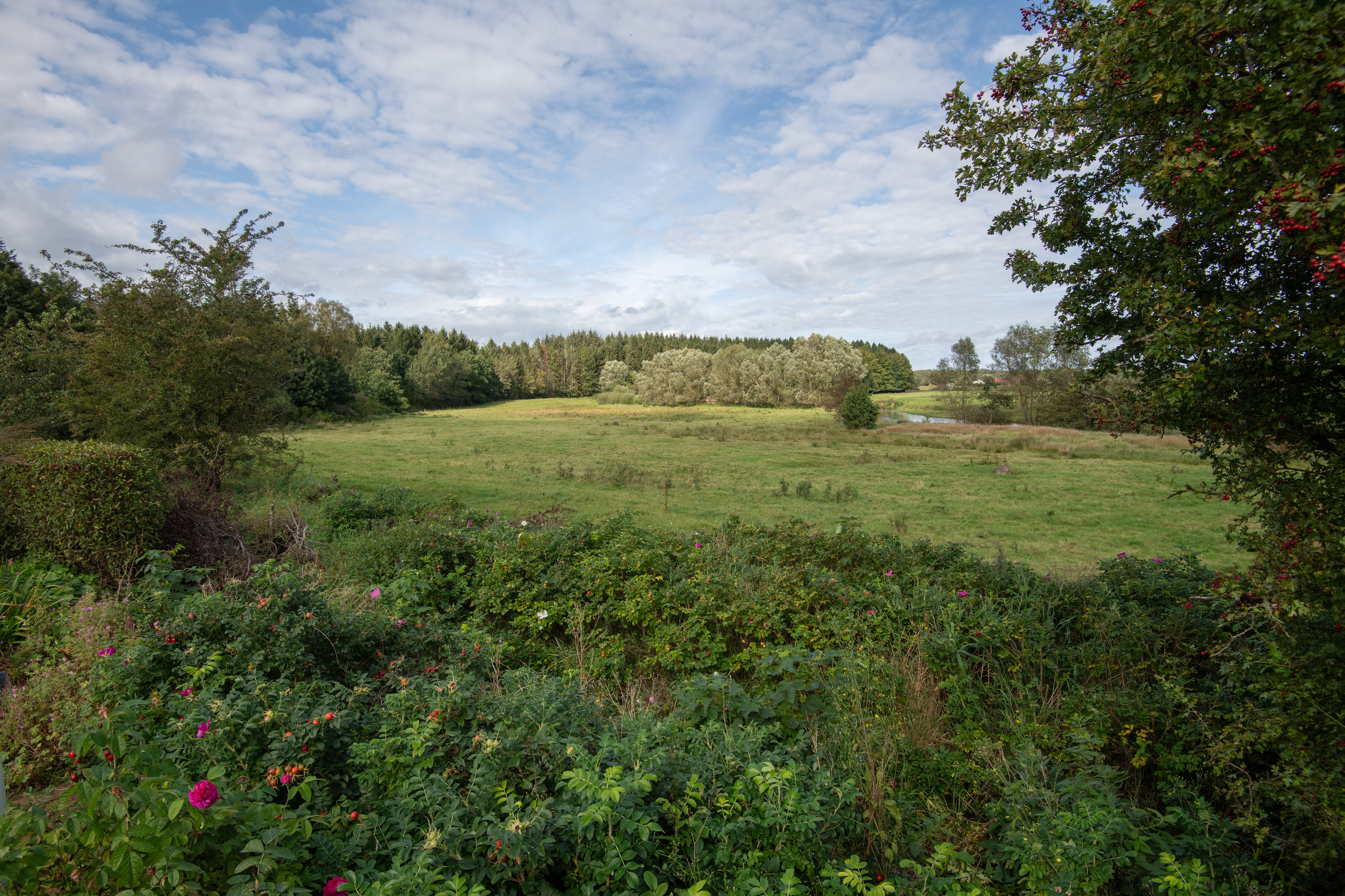 Fremhævet  billede i fuldskærmstilstand. Billede af Skovbrynet 8, 7280 Sønder Felding