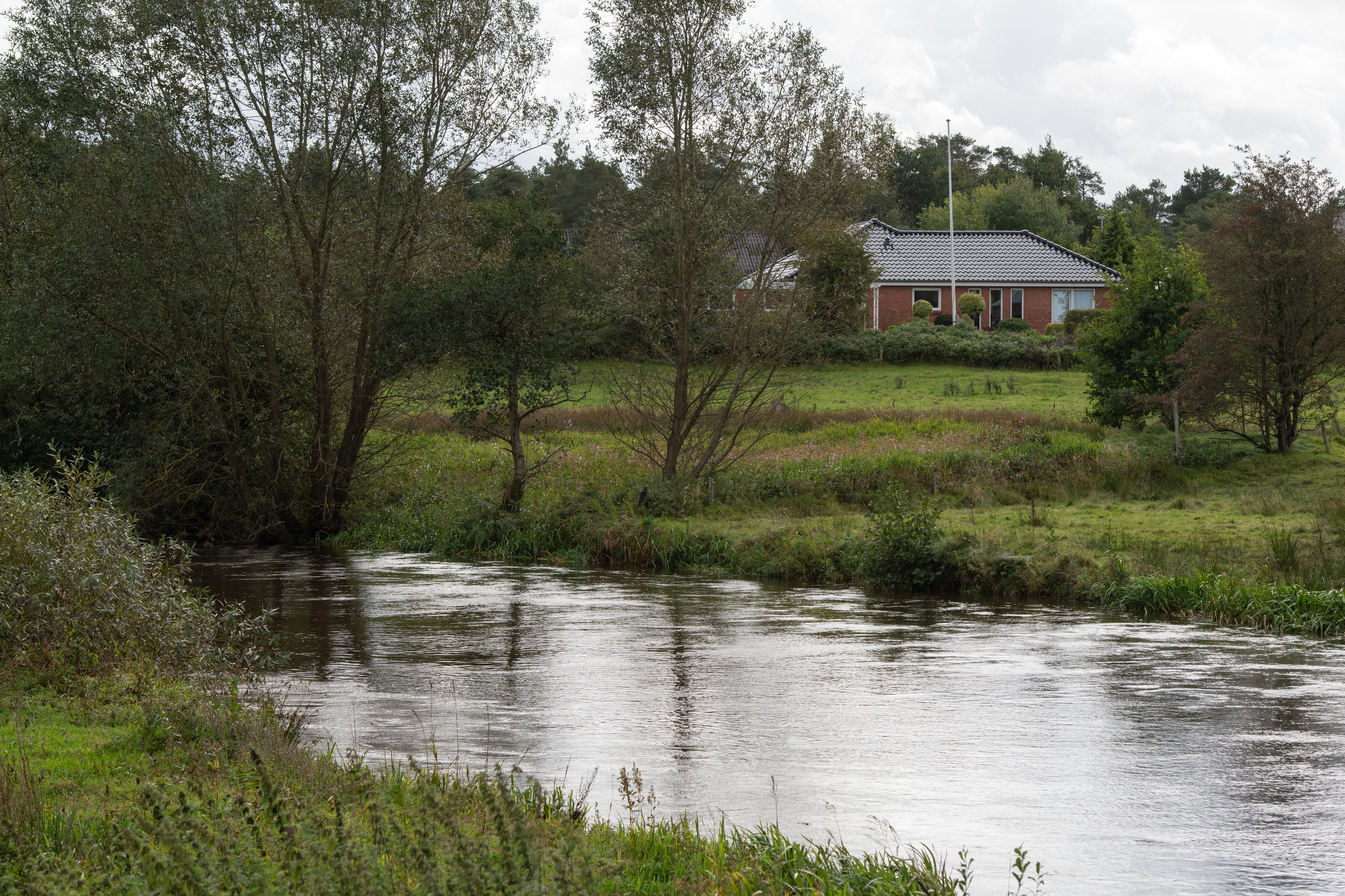 Fremhævet  billede i fuldskærmstilstand. Billede af Skovbrynet 8, 7280 Sønder Felding