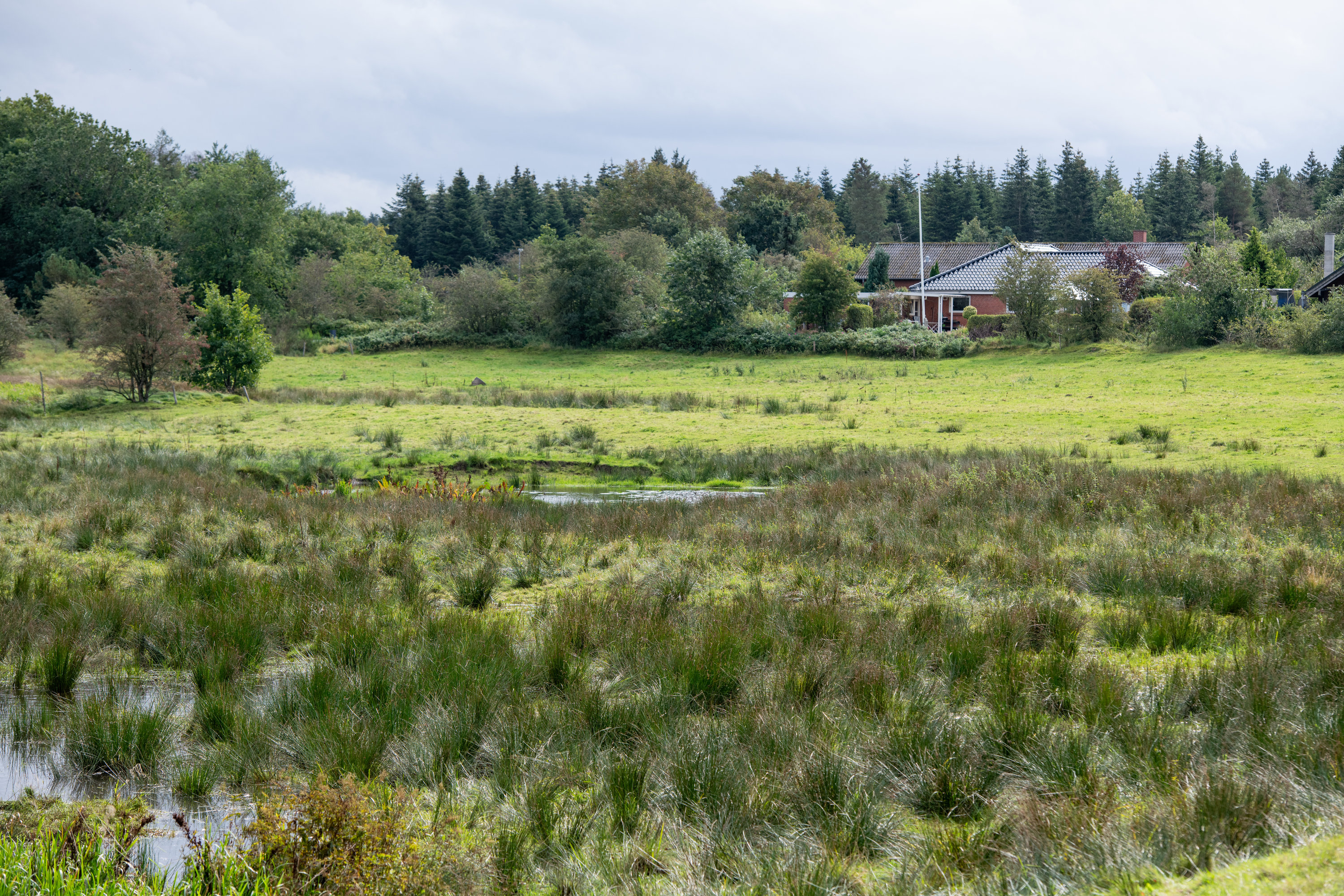 Fremhævet  billede i fuldskærmstilstand. Billede af Skovbrynet 8, 7280 Sønder Felding