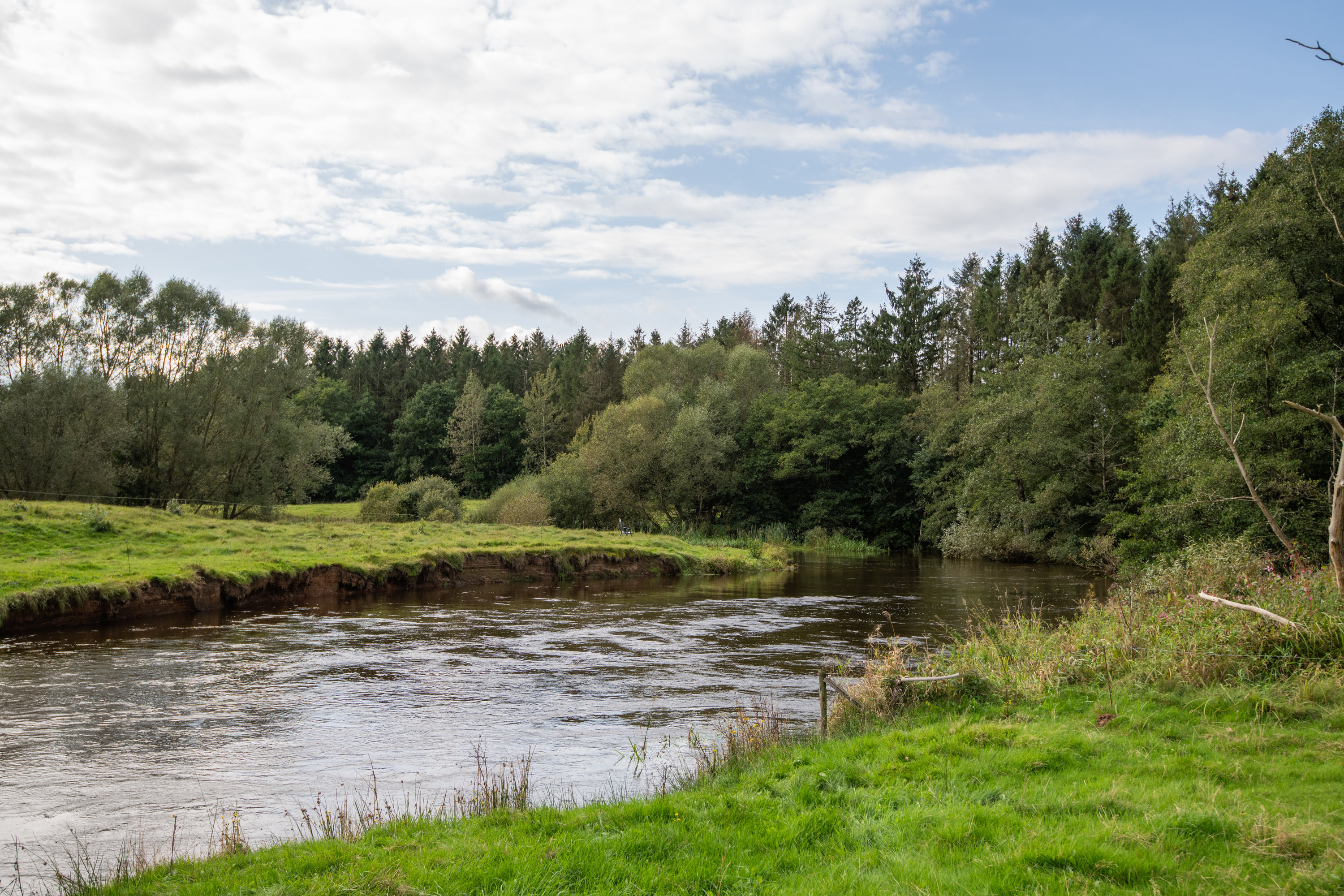 Fremhævet  billede i fuldskærmstilstand. Billede af Skovbrynet 8, 7280 Sønder Felding