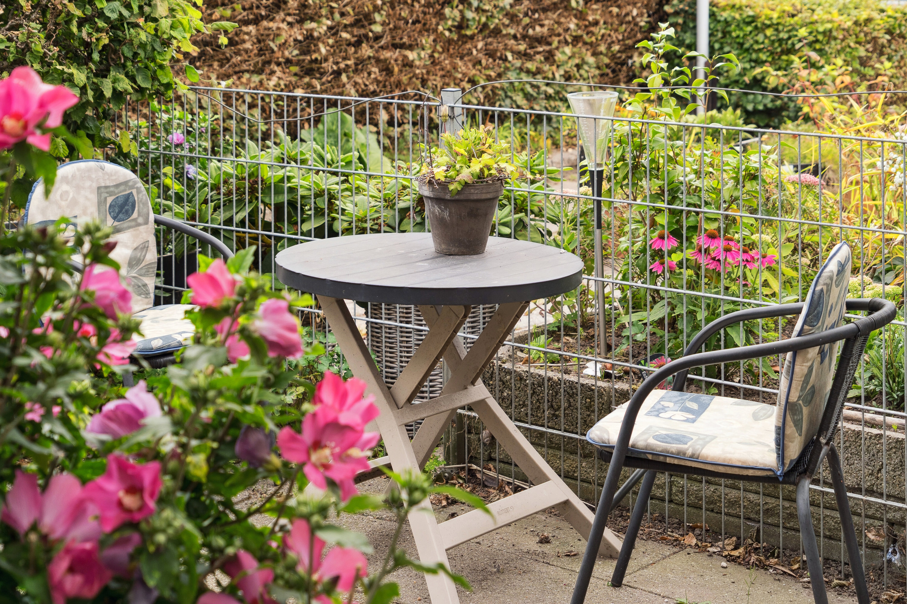 Fremhævet udendørs billede i fuldskærmstilstand. Billede af Tybrindvænget 16, 5230 Odense M