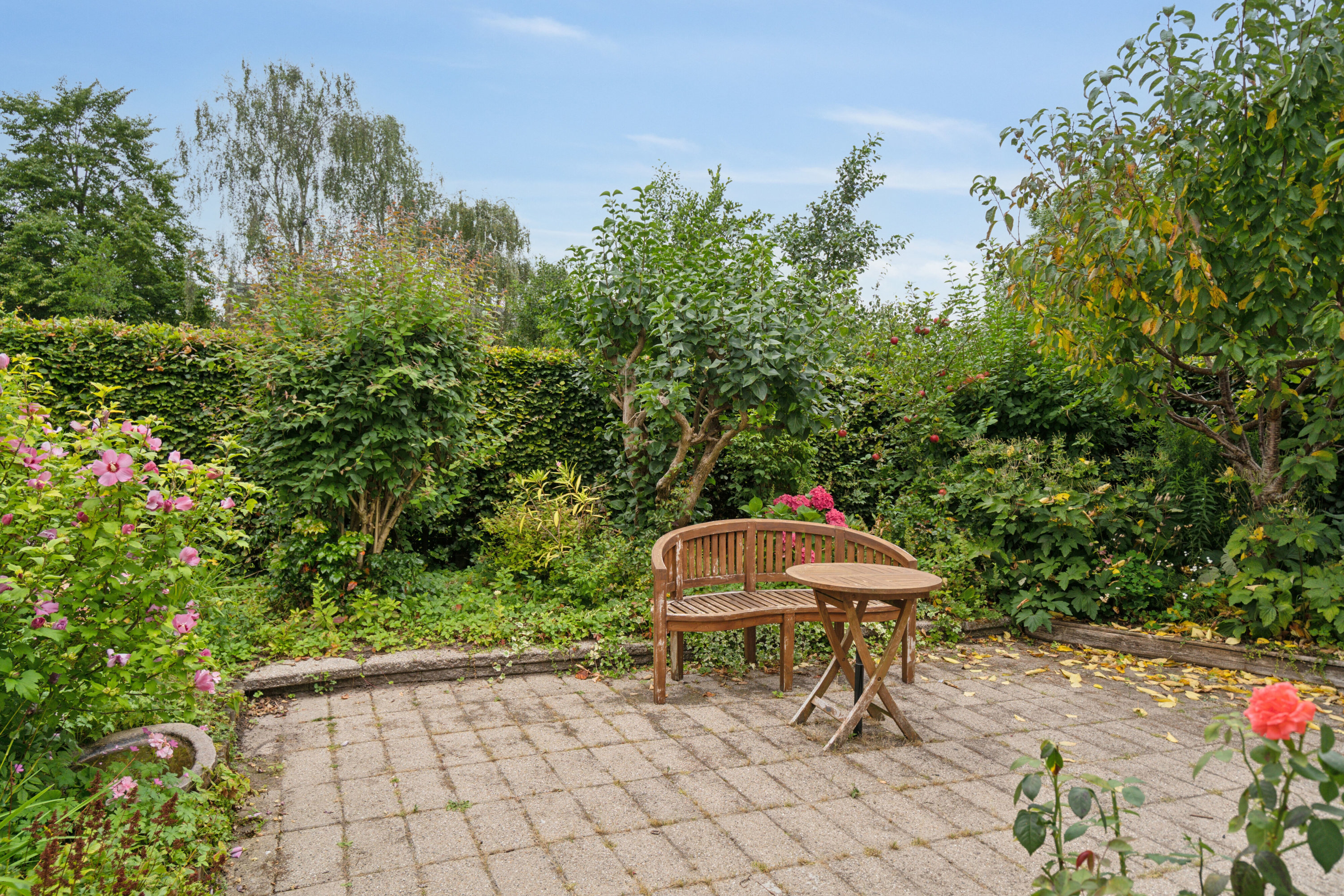 Fremhævet have billede i fuldskærmstilstand. Billede af Tybrindvænget 16, 5230 Odense M