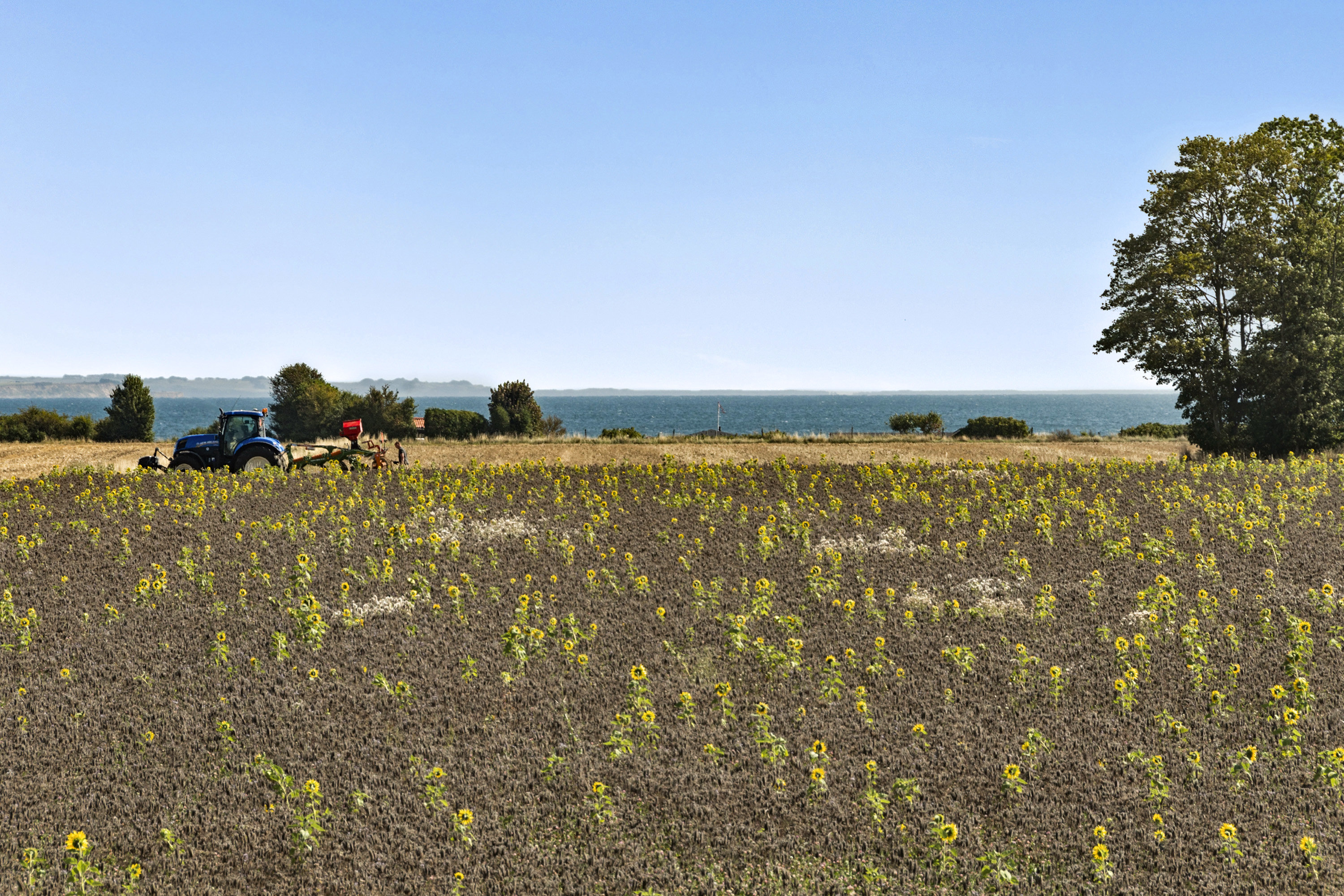 Miniaturebillede 2: område. Billede af Toldvejen 29, Boulstrup, 8300 Odder