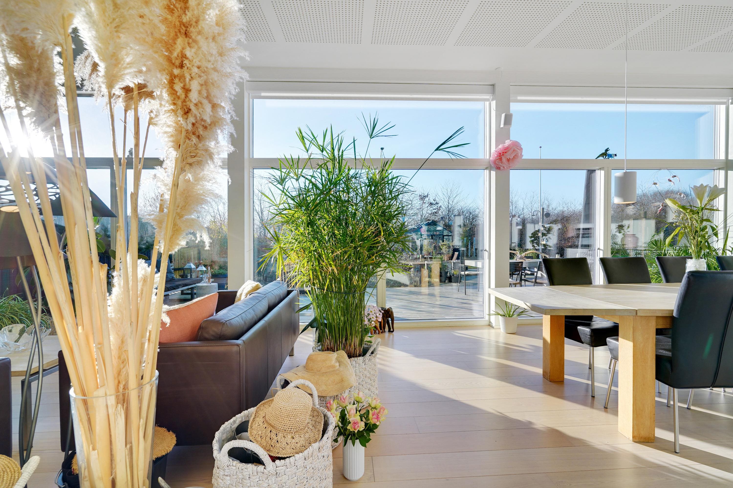 Fremhævet stue billede i fuldskærmstilstand. Billede af Bjerget 19, 6800 Varde