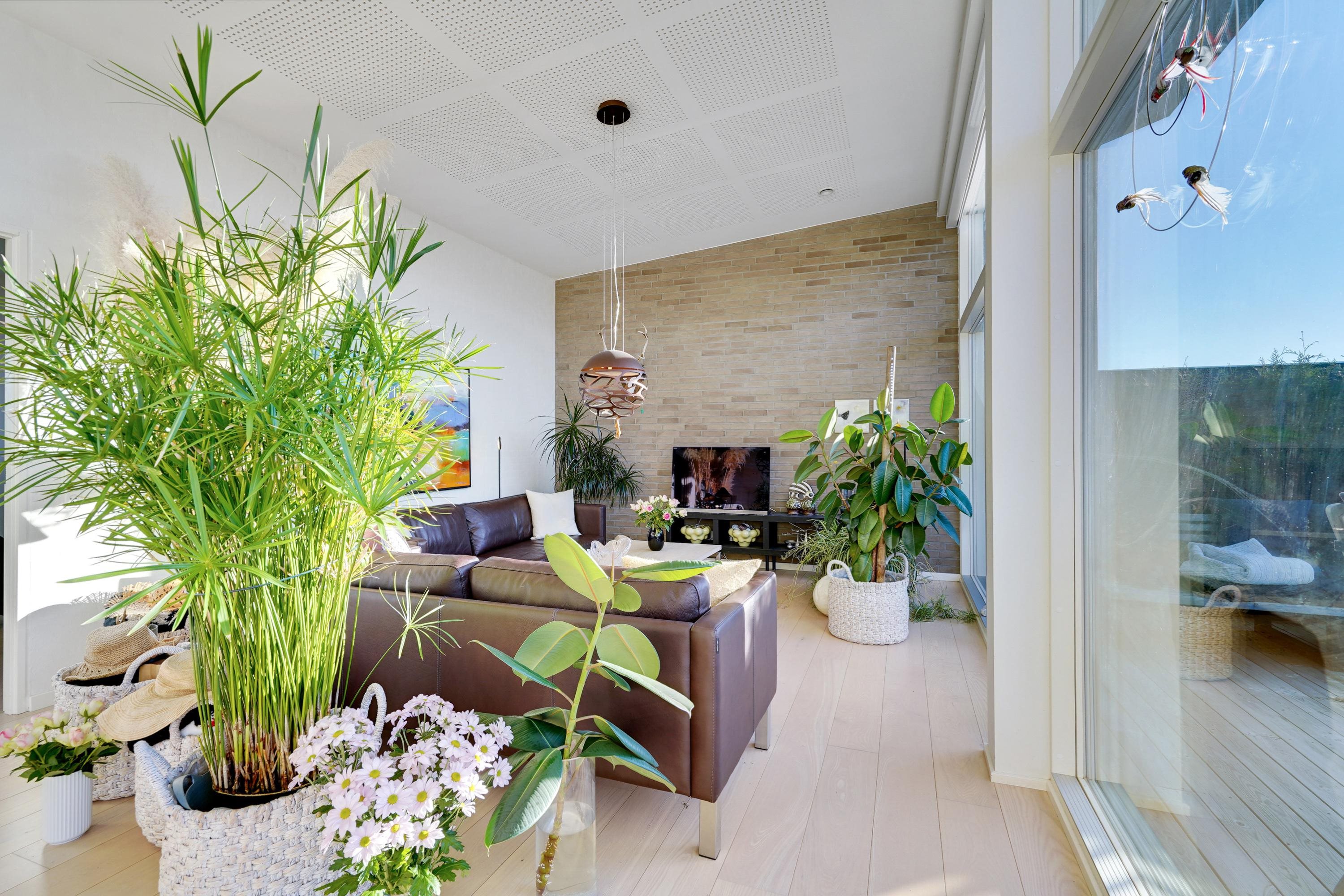 Fremhævet stue billede i fuldskærmstilstand. Billede af Bjerget 19, 6800 Varde