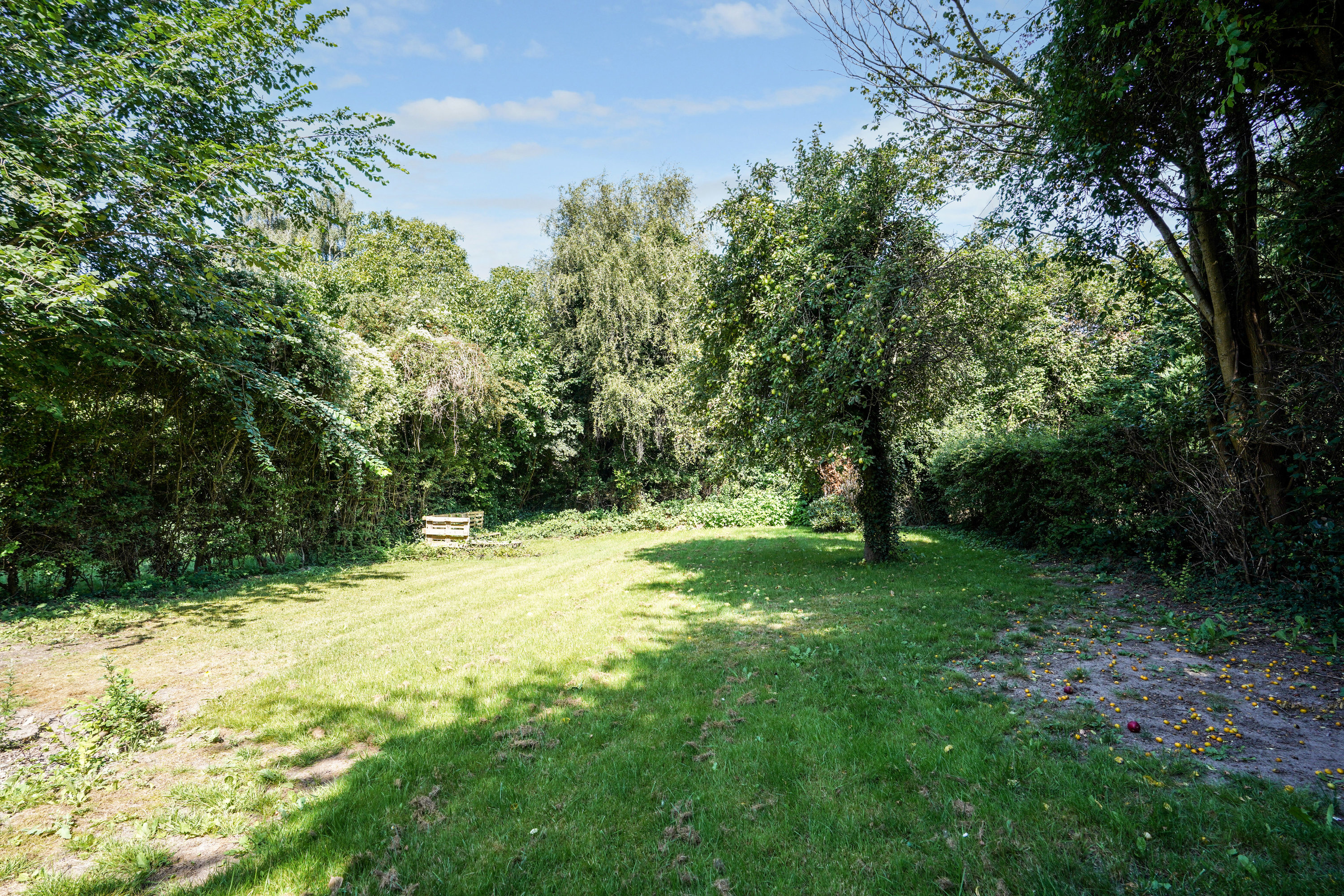 Fremhævet  billede i fuldskærmstilstand. Billede af Tietgens Allé 45, 1. tv., 5230 Odense M