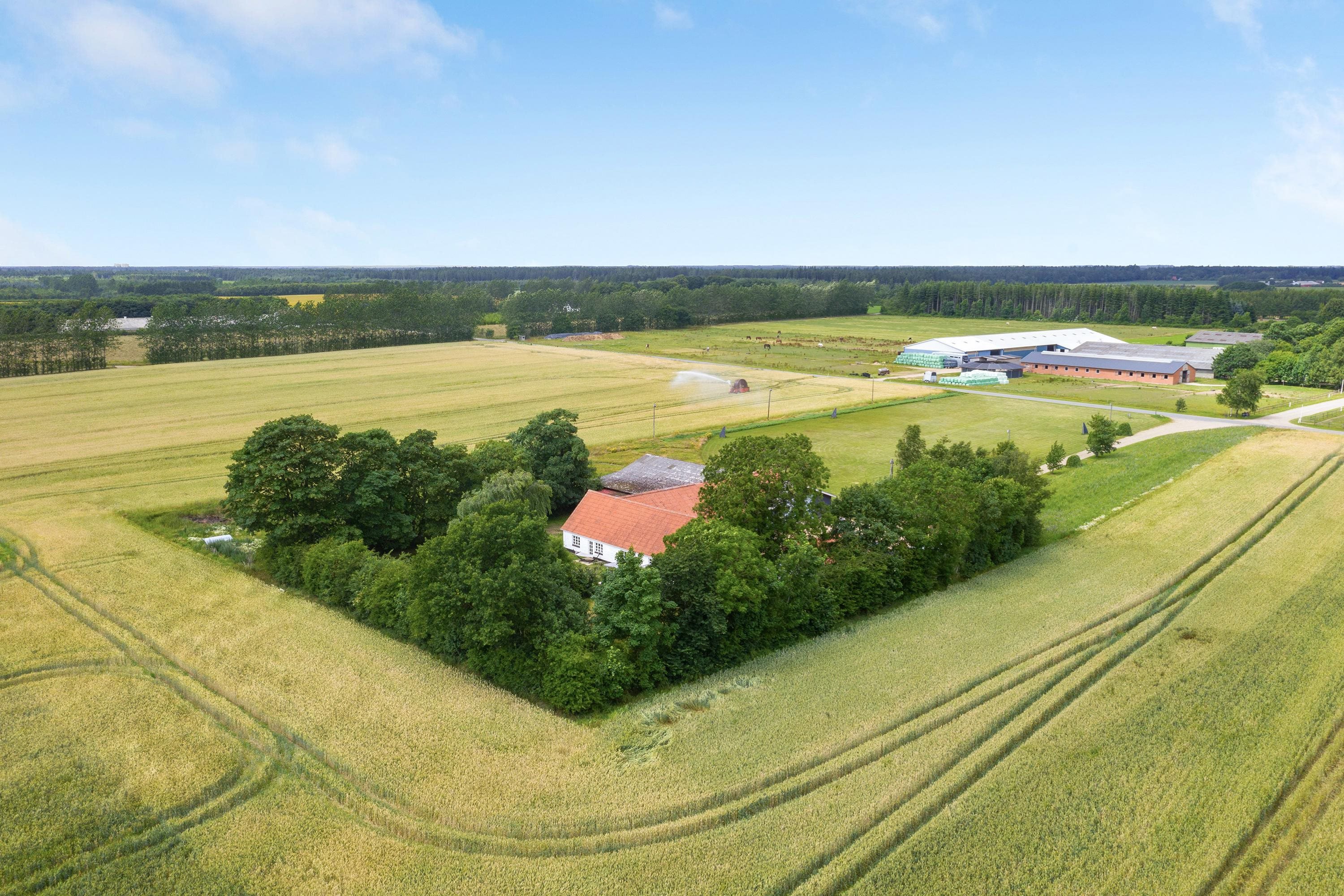 Fremhævet  billede i fuldskærmstilstand. Billede af Bødkersmindevej 9, Thorning, 8620 Kjellerup