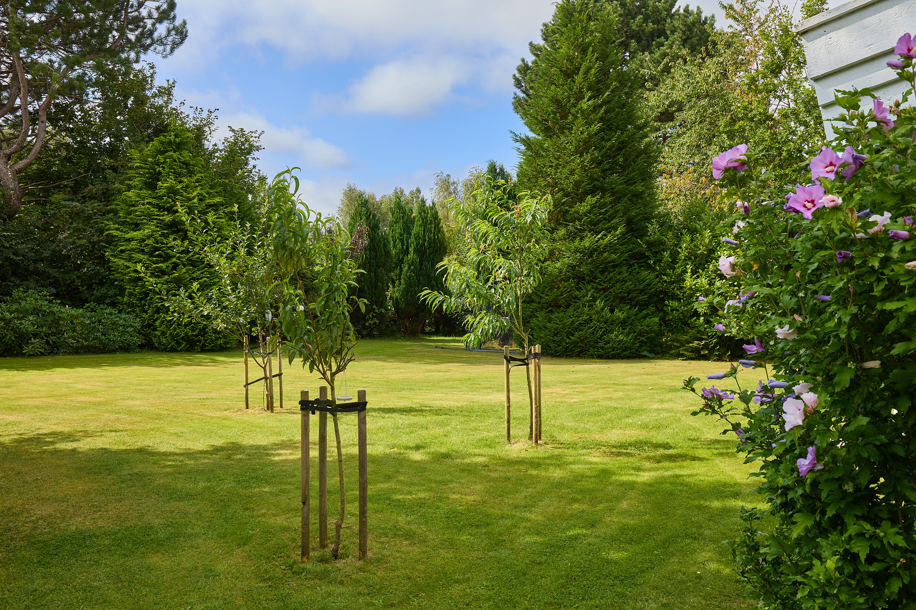 Fremhævet  billede i fuldskærmstilstand. Billede af Rugvænget 3, 3220 Tisvildeleje